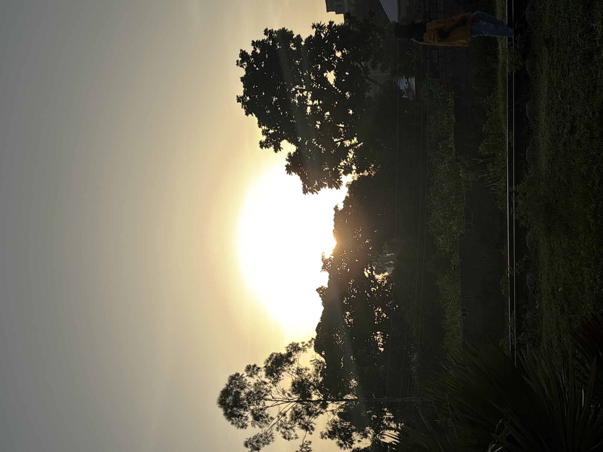 The image captures a sunset over what appears to be the outskirts of Bukuru, Nigeria. The sun is a large, bright orb low in the sky, casting a warm, golden glow. Silhouetted against the light are several trees, their branches intricate against the luminous backdrop. In the foreground, the landscape is dominated by lush greenery and what looks like railway tracks running horizontally across the frame. A lone figure, a person wearing a yellow jacket and blue jeans, walks along the railway tracks, their back to the camera. The scene is tranquil, evoking a sense of peace and the natural beauty of the Nigerian landscape at dusk.