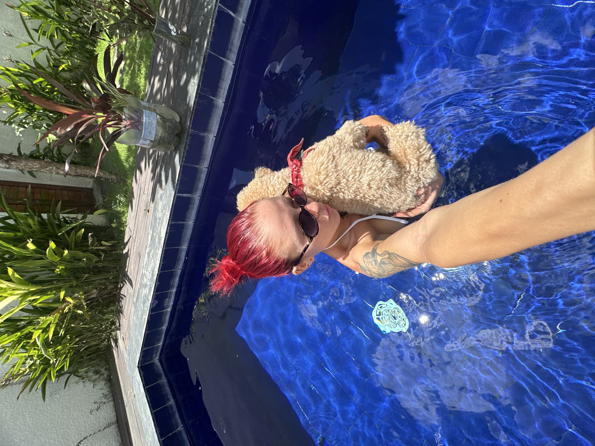 A person with red hair and sunglasses is holding a light brown poodle dog in a blue tiled pool. The person is wearing a white top and has a tattoo on their arm. The pool is surrounded by green plants and foliage. The photo was taken outdoors in a sunny setting. Based on the provided information, the location is Dalung, Indonesia.