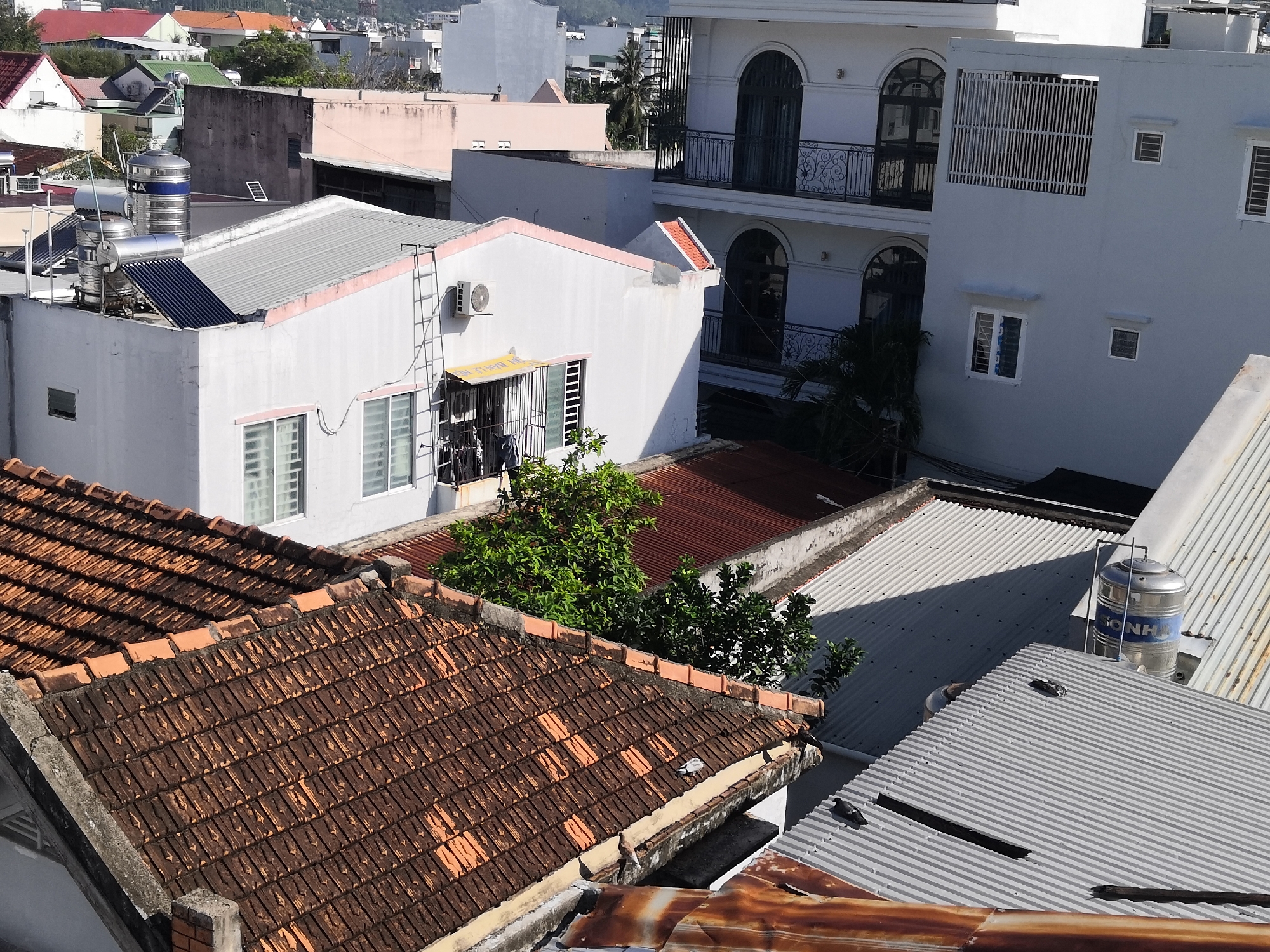 The image captures a rooftop view in the Bac Nha Trang Ward, Vietnam, characterized by a dense urban landscape with multiple buildings of varying heights and architectural styles. In the foreground, a weathered, terracotta-tiled roof dominates the scene, showing signs of age and exposure to the elements, with some tiles missing or discolored. Adjacent to this is a corrugated metal roof, appearing more modern and reflective, with a large, silver water tank prominently displayed on its surface. The water tank features blue lettering that reads "SONG NHU".
Beyond these immediate roofs, the scene unfolds to reveal a cluster of white buildings. One building, with a pink trim along its roofline, has several windows and an air conditioning unit mounted on its exterior wall. A metal ladder extends vertically along the side of this building, likely for rooftop access. Further into the background, a larger, multi-story white building with arched windows and decorative balconies stands out. The surrounding environment is filled with more residential and commercial structures, showcasing a typical Vietnamese urban setting. Several trees with lush green foliage are interspersed among the buildings, adding a touch of nature to the built environment. The sky above is clear and bright, suggesting a sunny day. There are no visible people in the image.
