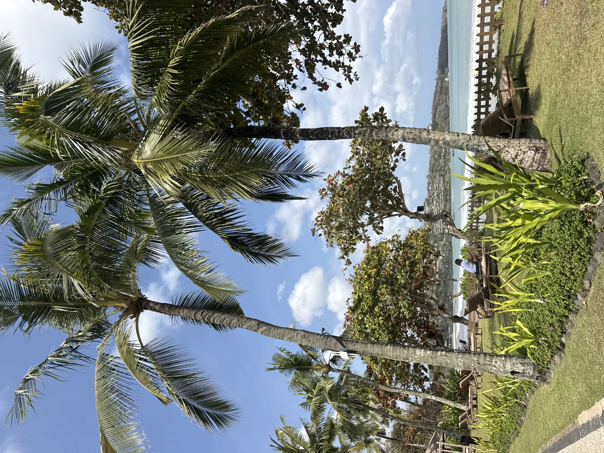 The image depicts a tropical beach resort scene in Kuta Selatan, Indonesia, under a partly cloudy blue sky. In the foreground, manicured green grass is lined with lush green plants and accented with small rocks. Beyond this, several empty brown lounge chairs are scattered across the lawn, some positioned under the shade of mature palm trees. One man, wearing a white t-shirt and dark shorts, is seated on a lounge chair facing the ocean.
Further back, a low wooden fence separates the resort grounds from the sandy beach and the calm, turquoise ocean. Gentle waves are seen lapping at the shore. In the distance, a coastline with lush green vegetation and buildings on hills is visible. Several boats are scattered on the water, and a few people are faintly visible on the beach. The overall atmosphere is serene and offers a glimpse of a peaceful vacation setting.