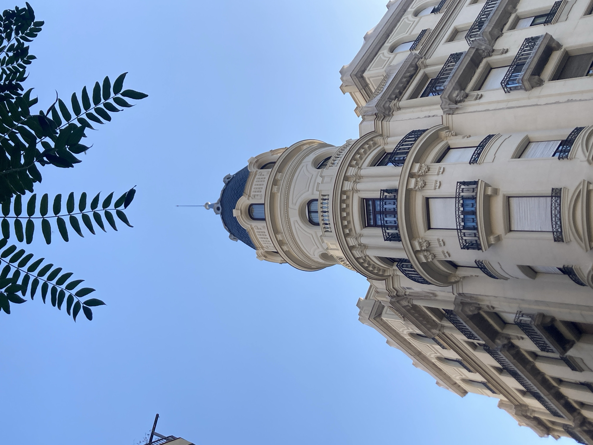 This is a low-angle shot looking up at an ornate, cream-colored building with a domed turret and multiple balconies against a clear blue sky. The building exhibits classical architectural elements, including decorative moldings, arched windows, and wrought-iron railings on the balconies. The domed turret, covered in dark blue tiles, is a prominent feature.
In the upper left quadrant of the image, a branch with dark green leaves is silhouetted against the sky. The leaves are compound, with many small, oval-shaped leaflets arranged along a central stem.
The image appears to have been taken during the daytime, given the brightness of the sky. There are no people or obvious activities visible. The building's architectural style and the clear sky suggest a pleasant, possibly warm, day in a city environment. The location context identifies Barcelona, Spain. There is no visible text in the image.