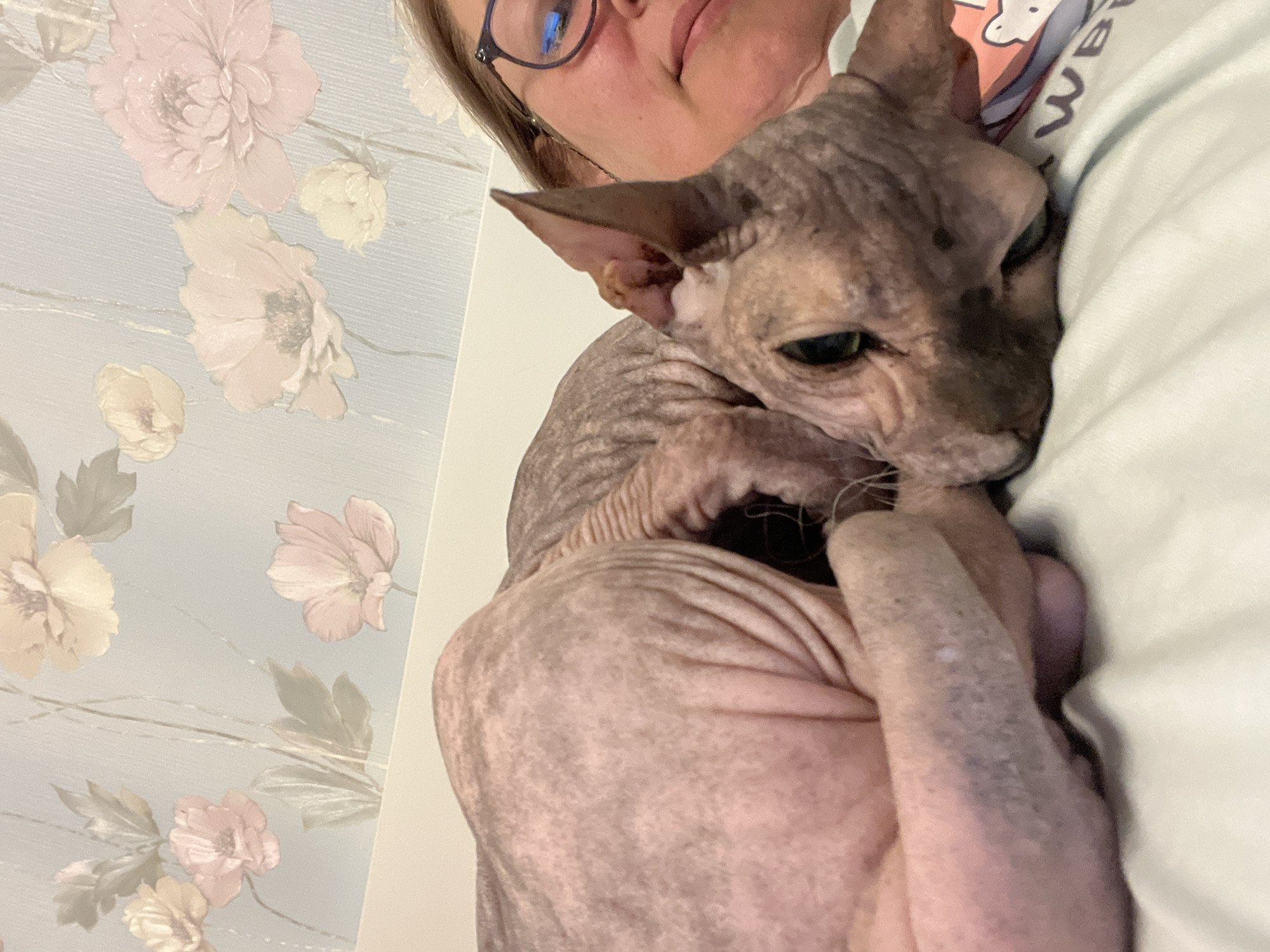 A sphynx cat rests on a bed next to a person wearing glasses. The cat is pinkish-grey with wrinkles and is curled up. The person's face is partially visible, and they appear to be looking at the cat. The background features floral wallpaper. The image appears to have been taken indoors, likely in a residential setting. No information about the location in the city of Korolyov, Russia, is discernible from the image.