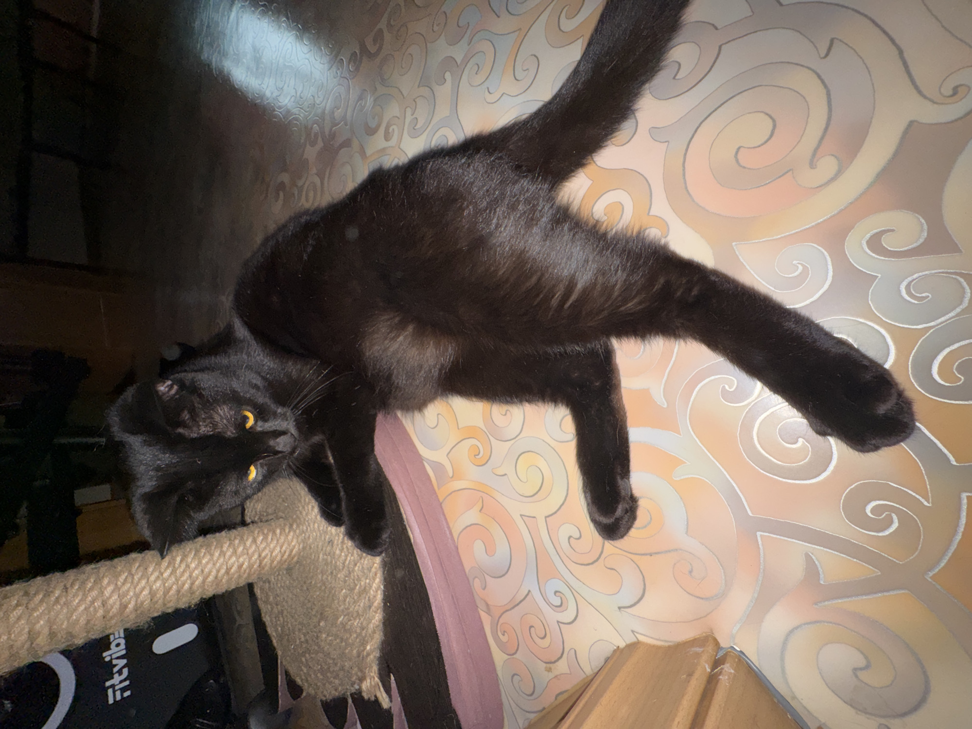 A black cat with yellow eyes is lying on a scratching post. The cat is positioned on the left side of the image, with its head near a scratching post wrapped in rope. The background features a patterned floor. The logo of Fitvibe is visible on the scratching post. The photograph was taken indoors. The location is the city of Chaikovsky, Russia.