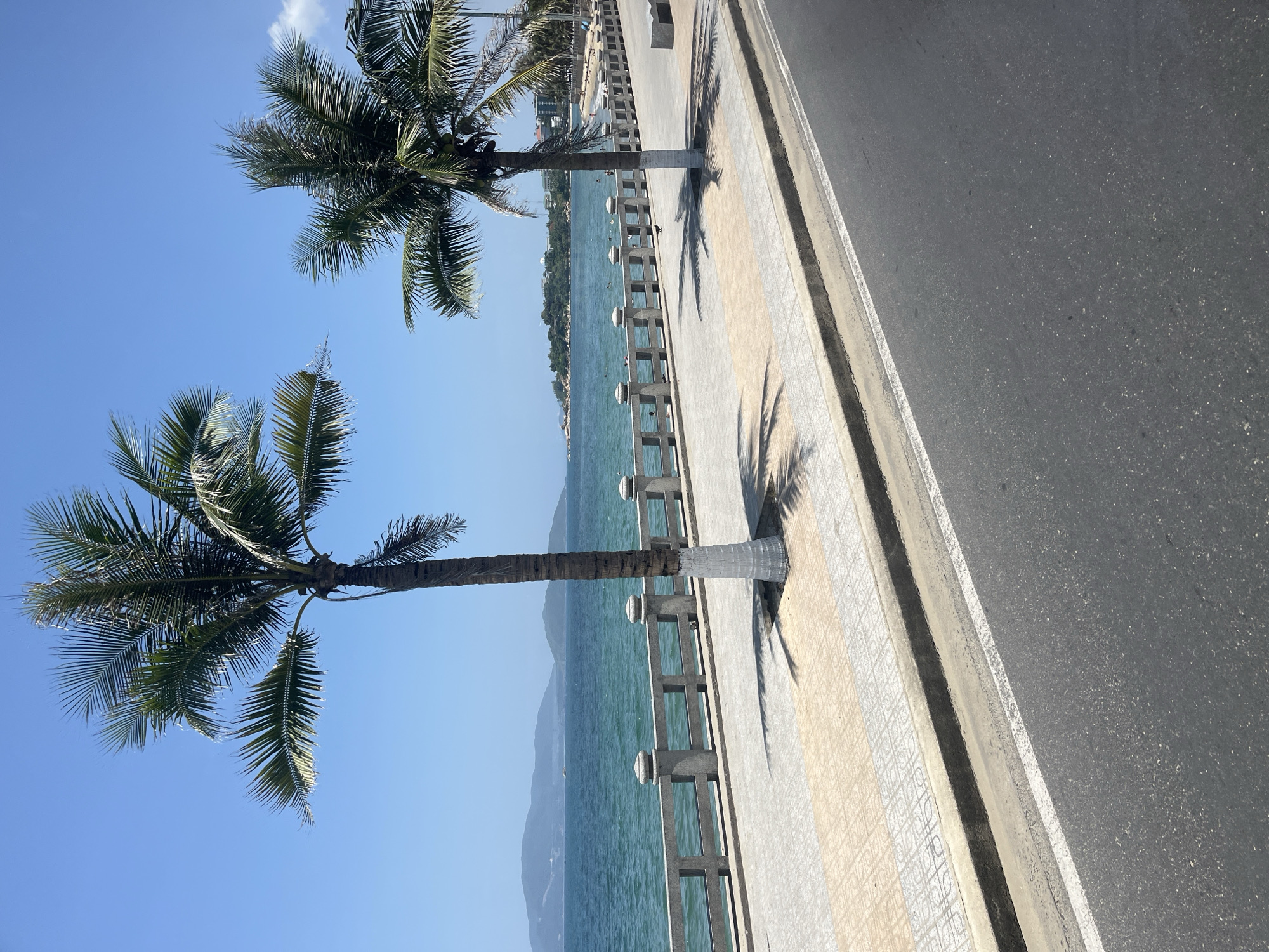The image depicts a sun-drenched scene along the coast of Nha Trang, Vietnam. In the foreground, a paved road runs parallel to a tiled pedestrian walkway bordered by a decorative concrete railing. Two prominent palm trees with trunks painted white at the base stand near the walkway, casting dappled shadows on the ground. Beyond the railing, the turquoise waters of the sea stretch towards a distant, hazy coastline with rolling hills. The sky is a clear, vibrant blue. A few buildings are visible on the far shore, and small figures can be seen on the beach in the distance. The overall impression is one of a tropical seaside promenade on a bright, clear day.