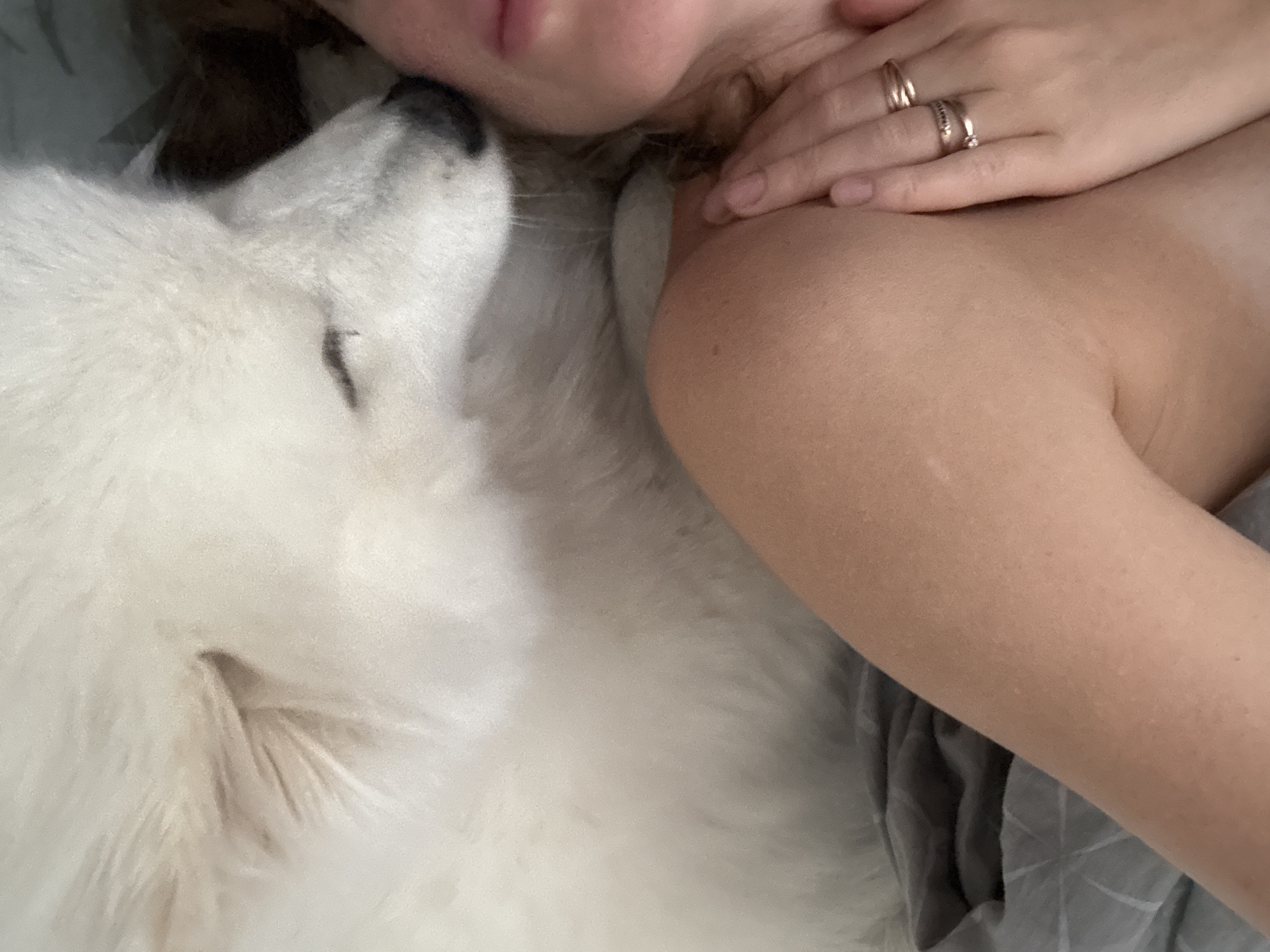 This close-up, high-angle image captures a tender moment between a person and a large, fluffy white dog, likely a Samoyed, resting together in an indoor setting. The upper right portion of the frame features a person, visible from the mouth and chin area to the shoulder and upper arm. Their left hand, adorned with at least two rings on the ring finger, rests gently on their right shoulder or arm. The person's hair is also visible.
On the left side of the frame, the white-furred dog is nestled closely, its head and closed eyes indicating it is asleep or deeply relaxed. The overall composition emphasizes the intimacy and comfort shared between the two subjects. A grey, patterned blanket or bedding is visible beneath the person's arm and partially under the dog. The soft, diffused lighting suggests a quiet time, possibly morning or evening. The scene evokes feelings of peace, warmth, and affection. There is no visible text in the image. The provided location context for this image is Chaikovsky, Russia.
