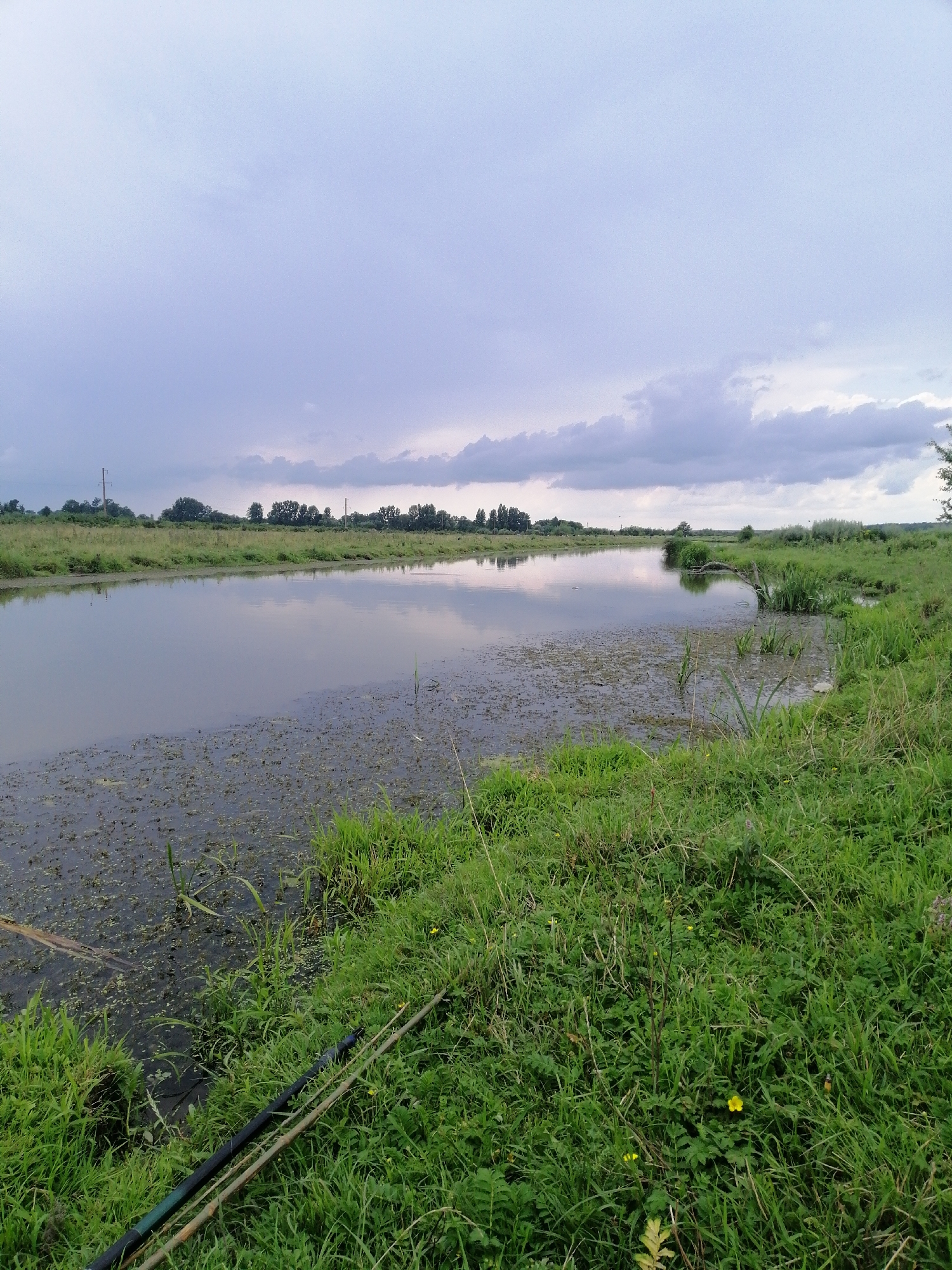 The image depicts a serene landscape featuring a calm body of water, likely a river or pond, in Krasnoluka, Ukraine. The water is partially covered with aquatic vegetation, giving it a mottled appearance. The banks of the water are lined with lush green grass and various types of foliage. In the foreground, two fishing rods are resting on the grass, suggesting a recreational activity. Across the water, the opposite bank is densely vegetated with trees and shrubs, forming a natural horizon. Power lines and poles are visible in the distance, indicating the presence of infrastructure beyond the natural setting. The sky above is overcast with heavy clouds, casting a diffused light over the scene, contributing to a tranquil and somewhat somber atmosphere. The reflection of the sky and surrounding greenery on the water's surface adds depth and visual interest to the composition.