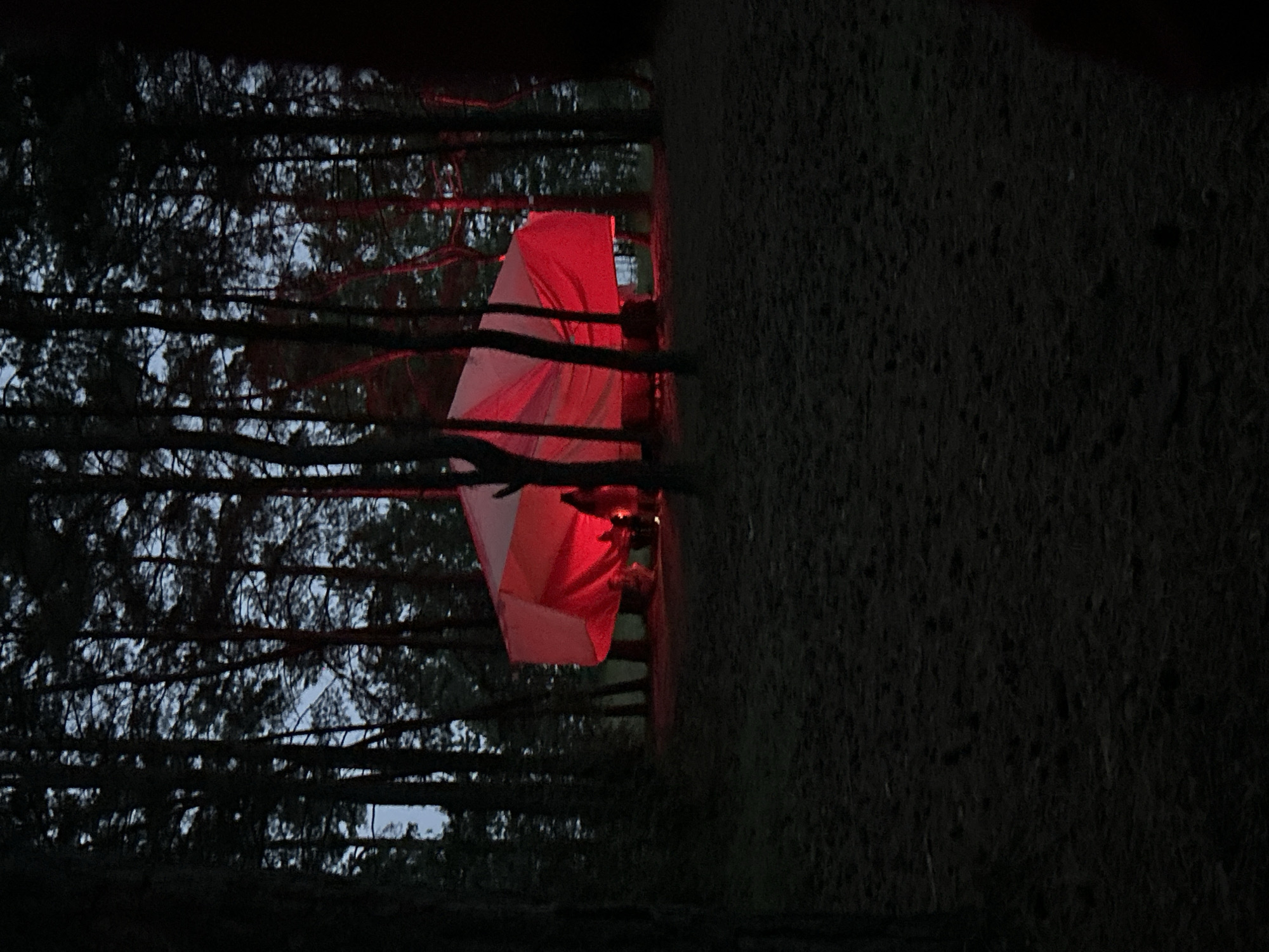 In the forest near Nikolo-Petrovka, Russia, at dusk or night, a large, white tent structure with prominent red lighting is set up. The tent appears to be illuminated from within, casting a strong red glow that is visible through its fabric. The surrounding environment is dark, with the silhouettes of tall pine trees creating a dense forest backdrop. The ground in the foreground is covered in dark, possibly needle-strewn earth. A human figure is partially visible inside or near the tent, silhouetted against the red light. The overall scene suggests a gathering or event taking place within the secluded forest setting.