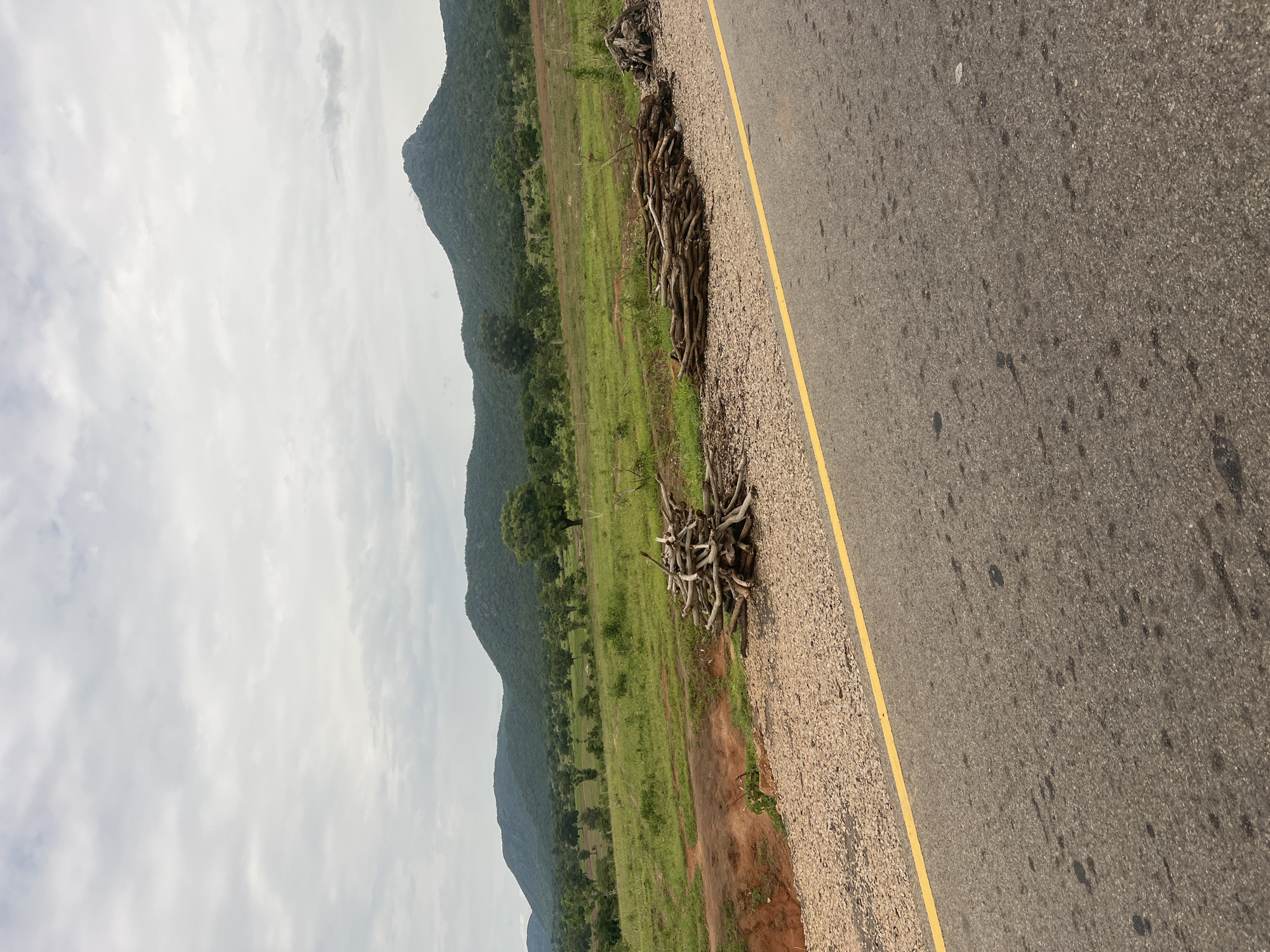 The image captures a roadside scene in Minda, Nigeria. The perspective is from a slightly elevated position, looking down and across a paved road with a yellow line marking the edge. The road surface is asphalt with visible speckles and some darker patches, suggesting wear and tear or minor staining. To the left of the road, there is a gravel shoulder with a pile of dry branches and logs neatly stacked.
Beyond the shoulder, a vast expanse of green grassland stretches towards a series of rolling hills or mountains in the distance. The landscape is dotted with scattered trees, some appearing larger and more mature than others. The terrain seems to rise gradually towards the prominent hills, which are covered in dense vegetation. The sky above is overcast with a significant amount of white and grey clouds, indicating a cloudy day. The lighting is diffused, suggesting it's either early morning or late afternoon.
There are no people or specific activities depicted in the scene. The overall impression is one of a rural, natural landscape adjacent to a road, likely a common sight in the Nigerian countryside. The presence of the stacked wood might suggest it's collected for fuel or has been cleared from the roadside. The image conveys a sense of quietude and the expansive natural beauty of the region. No visible text is present in the image.