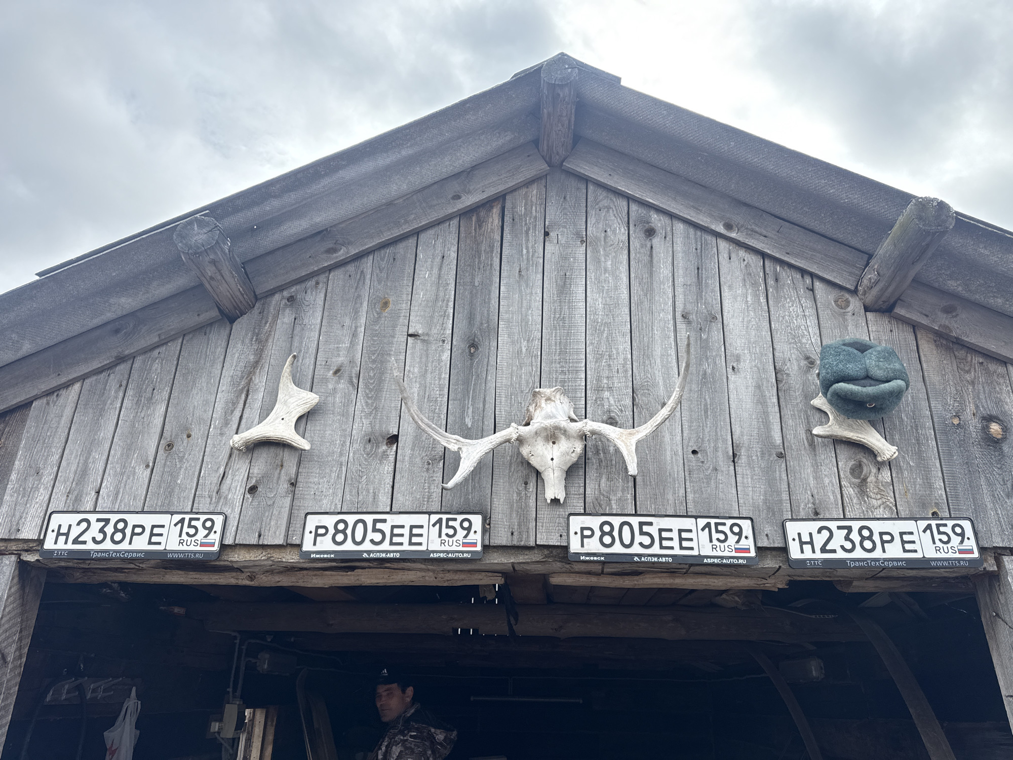 A slightly low-angle shot shows the wooden exterior of a building in the city of Кемуль, Russia. The building is adorned with antlers, a skull, a hat, and four Russian license plates: two reading "H238PE 159" and two reading "P805EE 159." A person is visible inside the building, wearing camouflage clothing and a dark baseball cap. The sky is overcast.