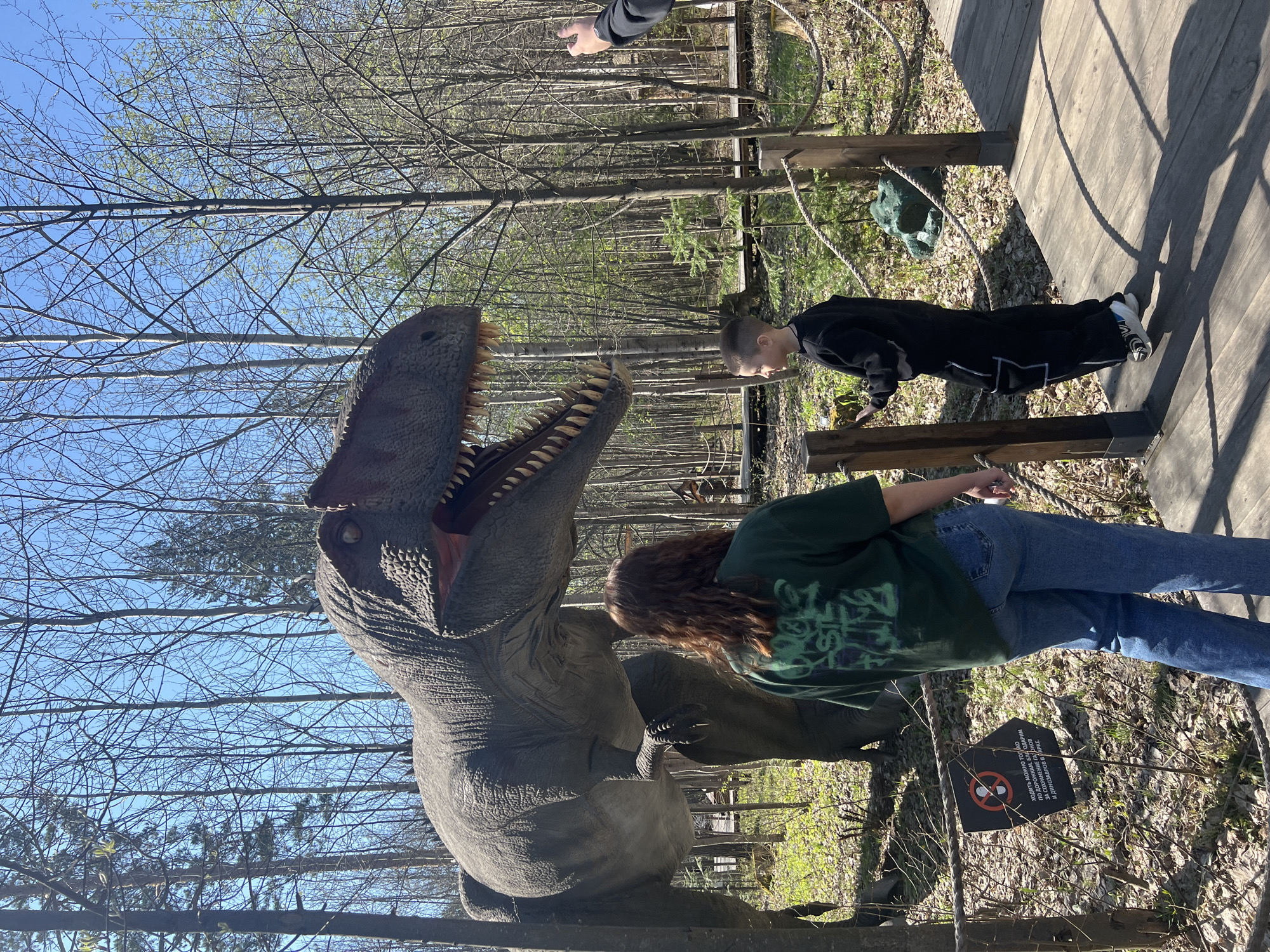 The image depicts a sunny outdoor scene, likely at a park. A large, gray, life-size model of a Tyrannosaurus Rex stands prominently. To the right of the dinosaur, a woman with long, reddish-brown hair, wearing a green shirt and blue jeans, is standing, with her back to the camera. Further to the right, a young boy in a black outfit is leaning forward, looking down. Both appear to be observing the dinosaur.
A wooden walkway or bridge structure is visible in the background. The ground beneath the walkway is covered in fallen leaves. Trees with bare branches fill the background, with a clear blue sky visible above. A sign, written in Russian, is attached to a wired fence.
Based on the OCR text "ходим можно только ПО ДОРОЖКАМ. БЛА ЗА СОХРАНЕНИЕ ГАДНОВ И ДИНОЗАВРОВ В ПАРКЕ", which translates to "You can only walk along the paths. Thank you for preserving the reptiles and dinosaurs in the park," the location is likely a park or attraction featuring dinosaurs. It is not possible to determine with certainty if the image was taken in Izhevsk, Russia, based on the provided information.