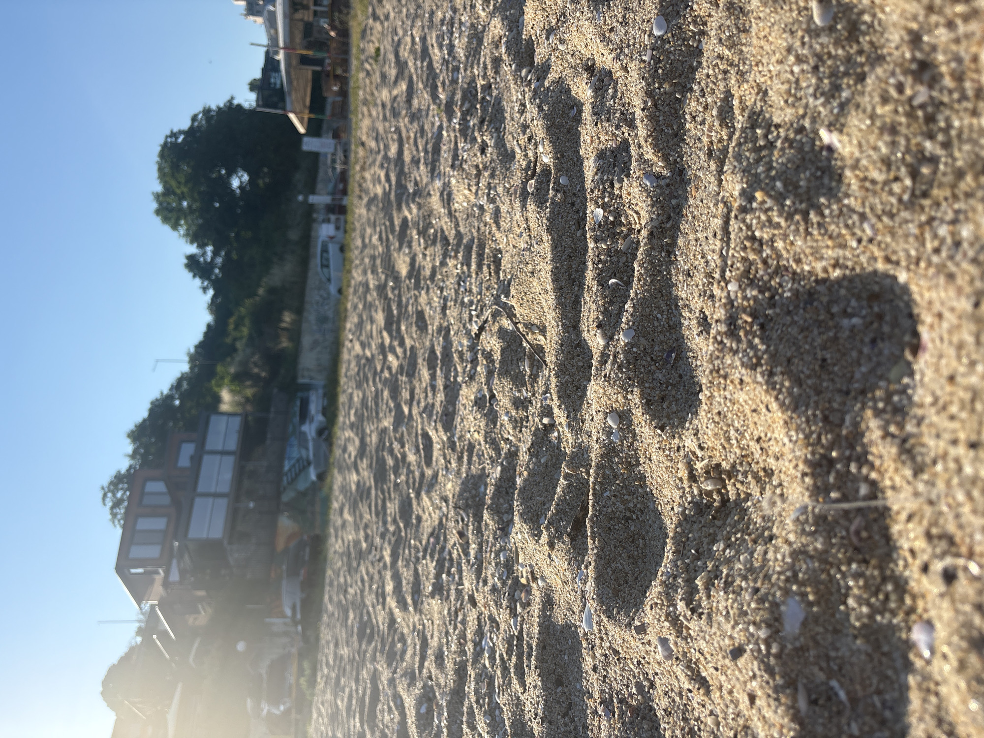 The image shows a close-up view of sand on a beach, with a shallow depth of field. The sand is textured with small pebbles and shells, and appears to be illuminated by the sun. In the background, a modern building with large windows is visible, set against a backdrop of trees and a clear blue sky. The perspective suggests the photo was taken at an angle, with the sand occupying the foreground and the buildings and landscape receding into the distance. The sunlight creates long shadows on the sand, indicating it might be late afternoon or early morning. The overall impression is one of a peaceful beach setting, with a contrast between the natural elements of the sand and sea and the man-made structure. There is no visible text in the image.