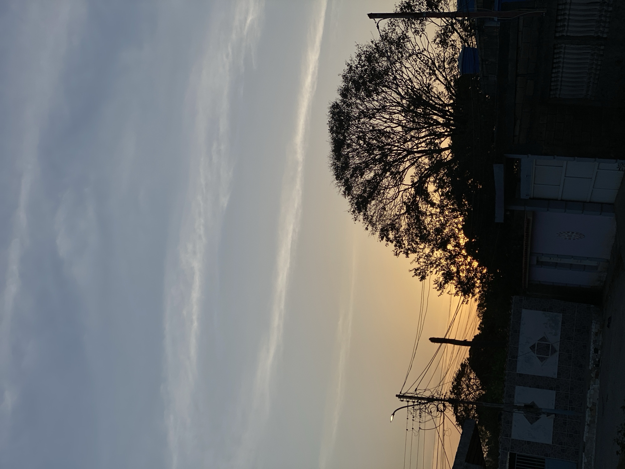 Captured in Juan Griego, Venezuela, the photograph depicts a twilight scene. A large, silhouetted tree dominates the right side of the frame, obscuring the setting sun and casting shadows on nearby buildings. Power lines and a street lamp are visible in the foreground. The sky, transitioning from blue to orange with a light-colored band across the middle, occupies the left portion of the image. A building and fence are on the right. No people or animals are visible.
