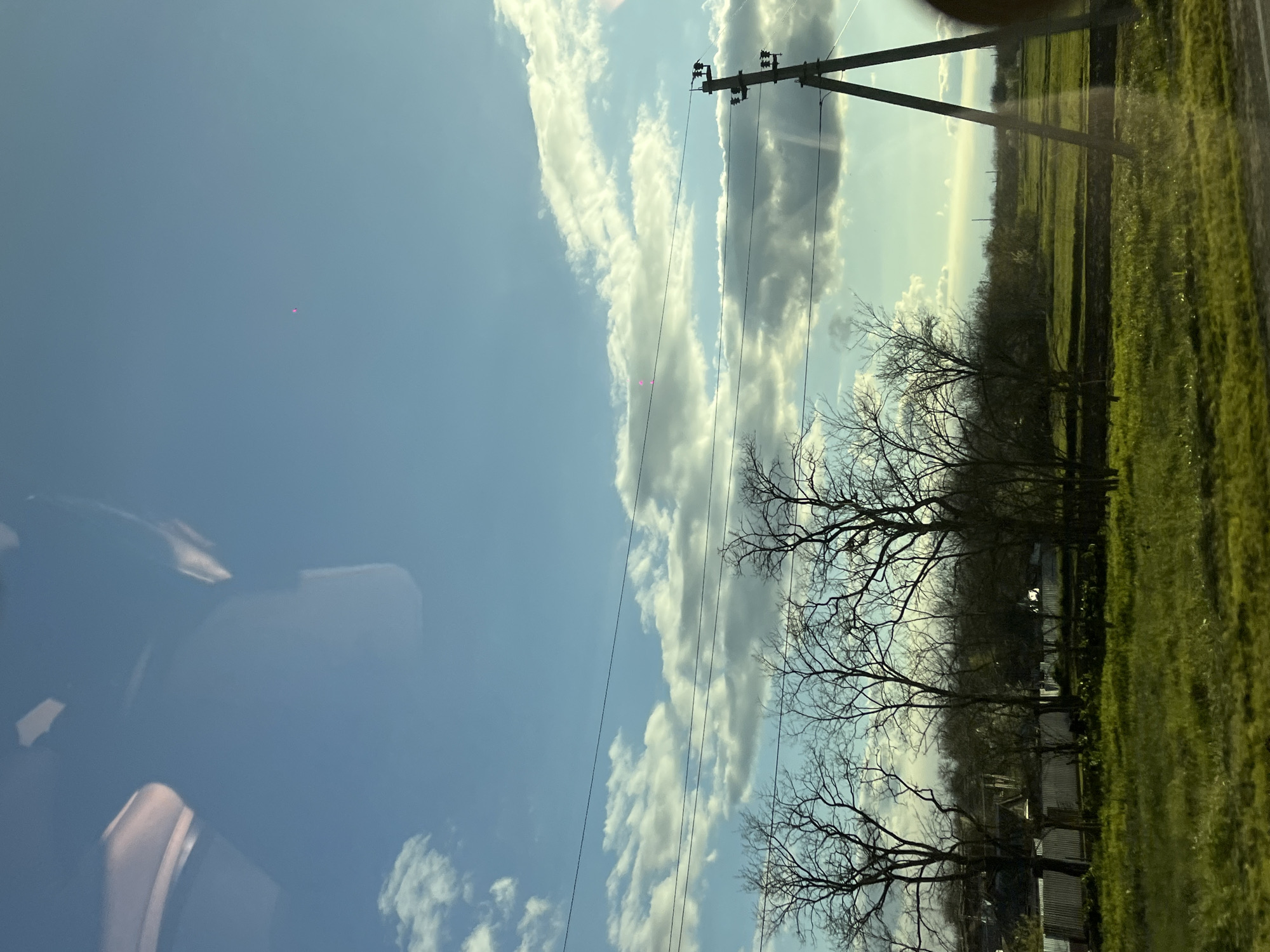 The image captures a rural landscape under a bright, partly cloudy sky, likely taken from a moving vehicle. The dominant feature is a wide expanse of clear blue sky on the left, adorned with scattered white cumulus clouds and longer, wispy cloud formations. A prominent wooden utility pole with multiple power lines stretches diagonally across the upper right, with the lines extending horizontally through the middle of the sky.
Below the power lines, a line of deciduous trees, mostly bare of leaves, creates a dark, intricate silhouette against the lighter sky and distant horizon. Through and behind these trees, what appear to be rural structures or houses are faintly visible. To the right, lush green fields stretch into the distance, indicating agricultural land or pasture. Bright sunlight illuminates the scene, suggesting daytime. A small, bright pink dot, possibly a lens flare, is visible in the mid-left sky.
In the lower-left corner, reflections on a car window are visible, featuring abstract shapes and colors that suggest the interior of a vehicle. The overall impression is one of peaceful, open countryside. The setting is identified as Ternovskaya, Russia. No people or text are visible in the image.