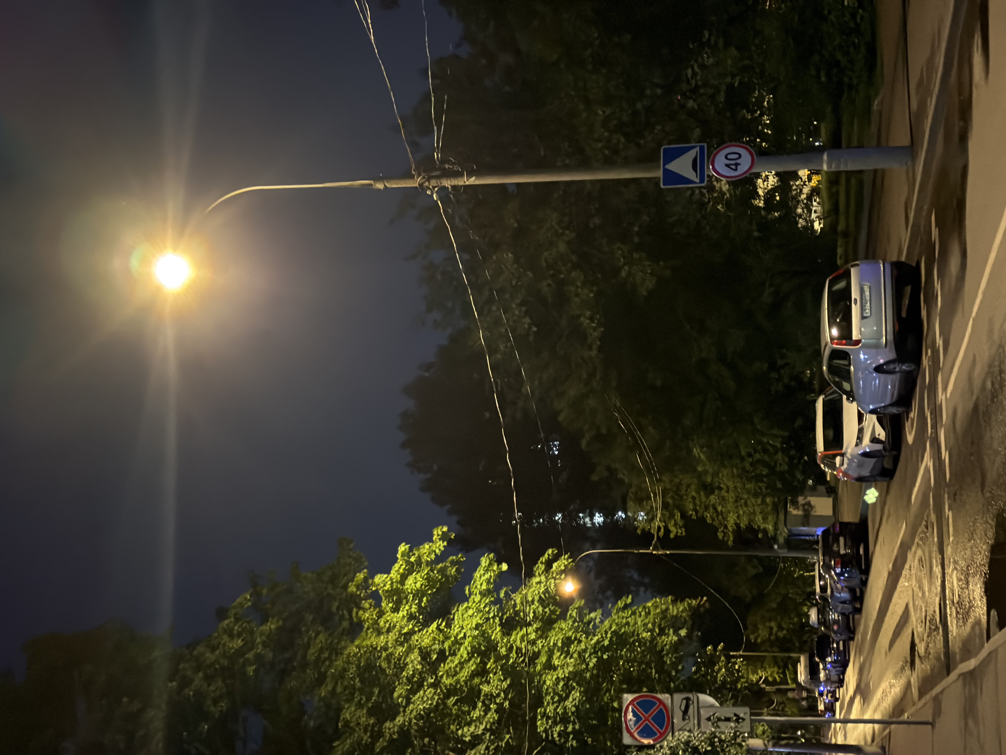 This is a nighttime outdoor photograph taken from street level. A street lamp with a bright, illuminated bulb is prominent in the upper right quadrant of the image, casting a warm glow. The street itself is wet, with reflections of the streetlights and the headlights of parked cars visible on its surface. Several cars are parked along the side of the road. On the left side of the street, there are trees with green foliage, illuminated by the artificial light. A street sign displaying a red circle with a diagonal line through it and a car symbol, indicating no parking, is visible on the left. Further down the street, another pole holds two traffic signs: a blue square sign with a white triangle depicting a hump, indicating a speed bump, and a circular sign with a red border displaying the number "40" in white, indicating a speed limit of 40 kilometers per hour. The background consists of more trees and the dark night sky. The scene appears to be a residential street in the city of Khimki, Russia, based on the context provided by the user.