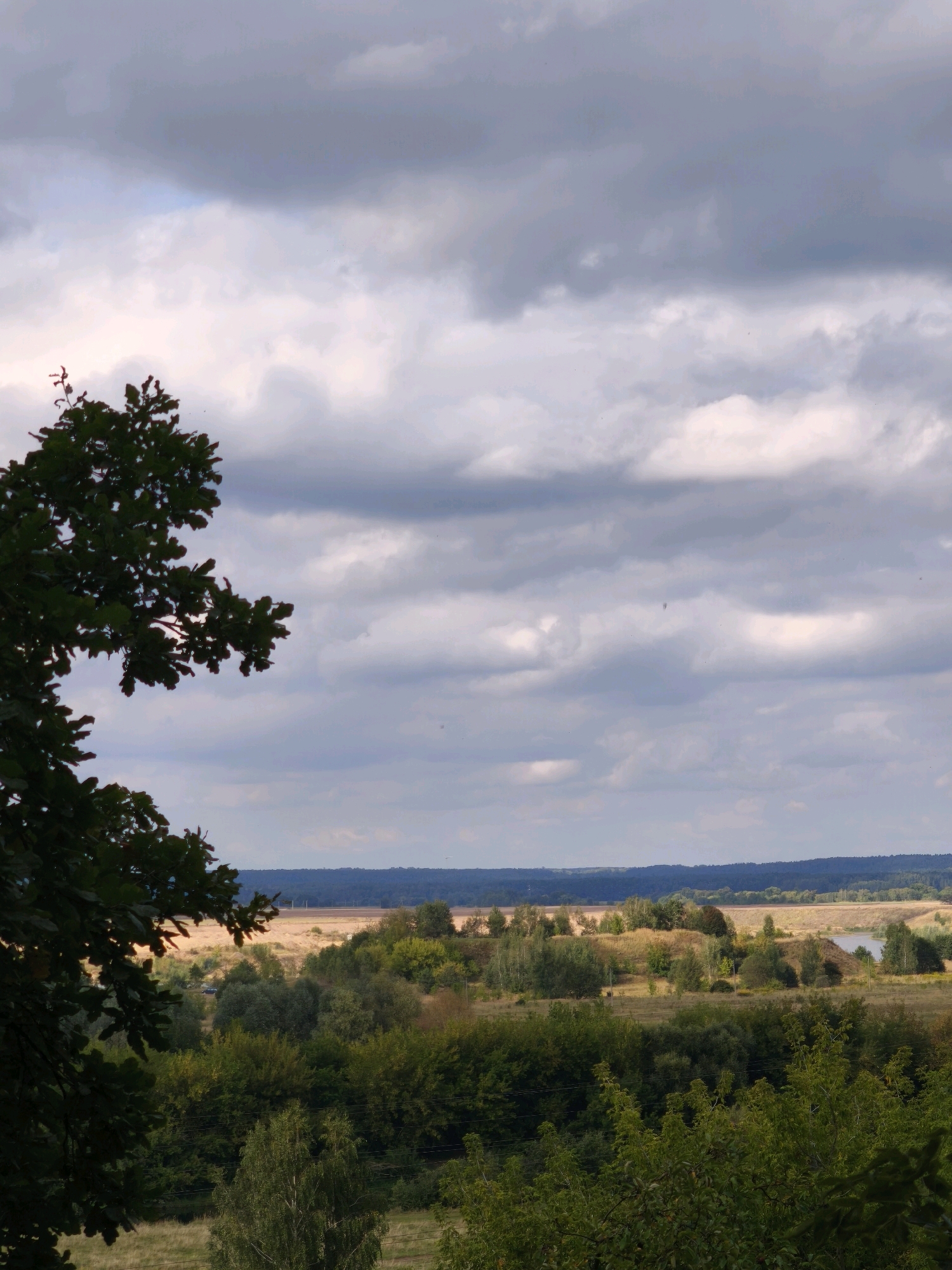 This image captures a panoramic view of a rural landscape under a dramatic, cloudy sky. In the foreground, the dark silhouette of a large oak tree with deep green leaves dominates the left side of the frame, its branches extending outwards. Beyond the tree, the scene opens up to a rolling terrain covered in a mix of lush green trees and drier, golden fields. A winding road or path is visible in the middle ground, with what appears to be a small, dark-colored vehicle on it. A body of water, possibly a river or a lake, is visible in the distance on the right side of the image. The horizon is marked by a dark line of trees and hills, with the sky above filled with heavy, grey and white clouds, suggesting an overcast or approaching storm. The overall impression is one of a natural, undeveloped setting, likely a park or a rural area on the outskirts of a populated region. While this specific image does not contain enough visual cues to definitively identify its location within Mahilyow, Belarus, it represents a common type of landscape found in the region.