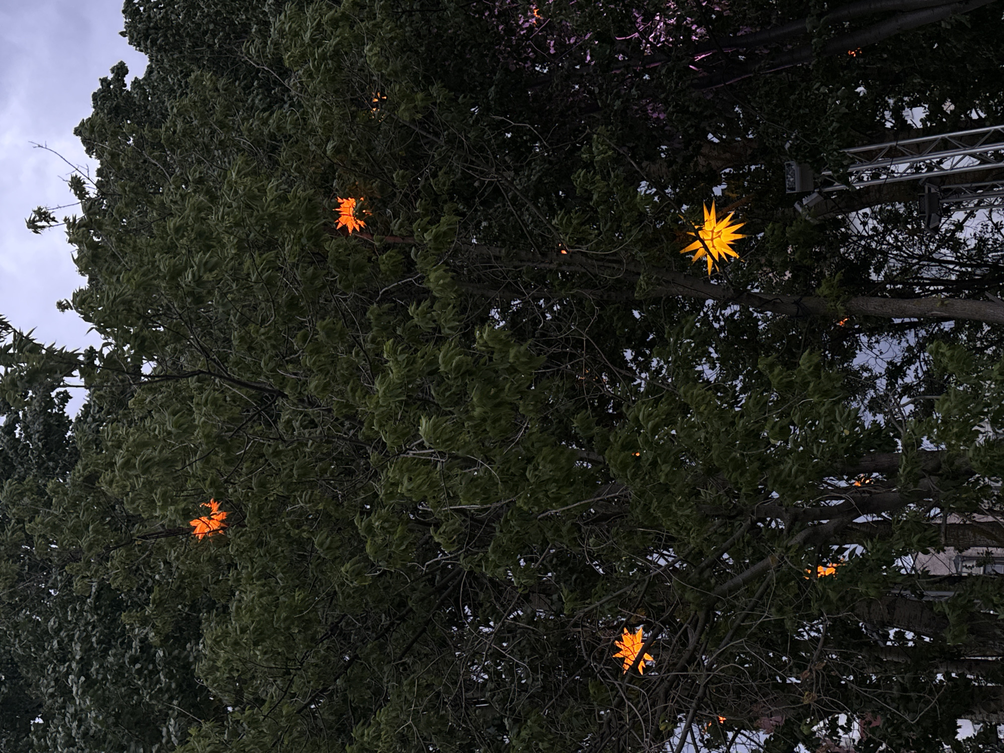 The image shows an outdoor scene at night, likely in an urban park or garden, featuring trees decorated with illuminated star-shaped lanterns. The lanterns are bright orange and are nestled amongst the dense green foliage of the trees. The sky above is overcast and dark. In the background, a tall, silver truss structure, possibly part of a stage setup, is visible, with lights mounted on it. There are no people visible in the image. The overall impression is of a festive or decorative illumination event. The location is specified as Saint Petersburg, Russia.