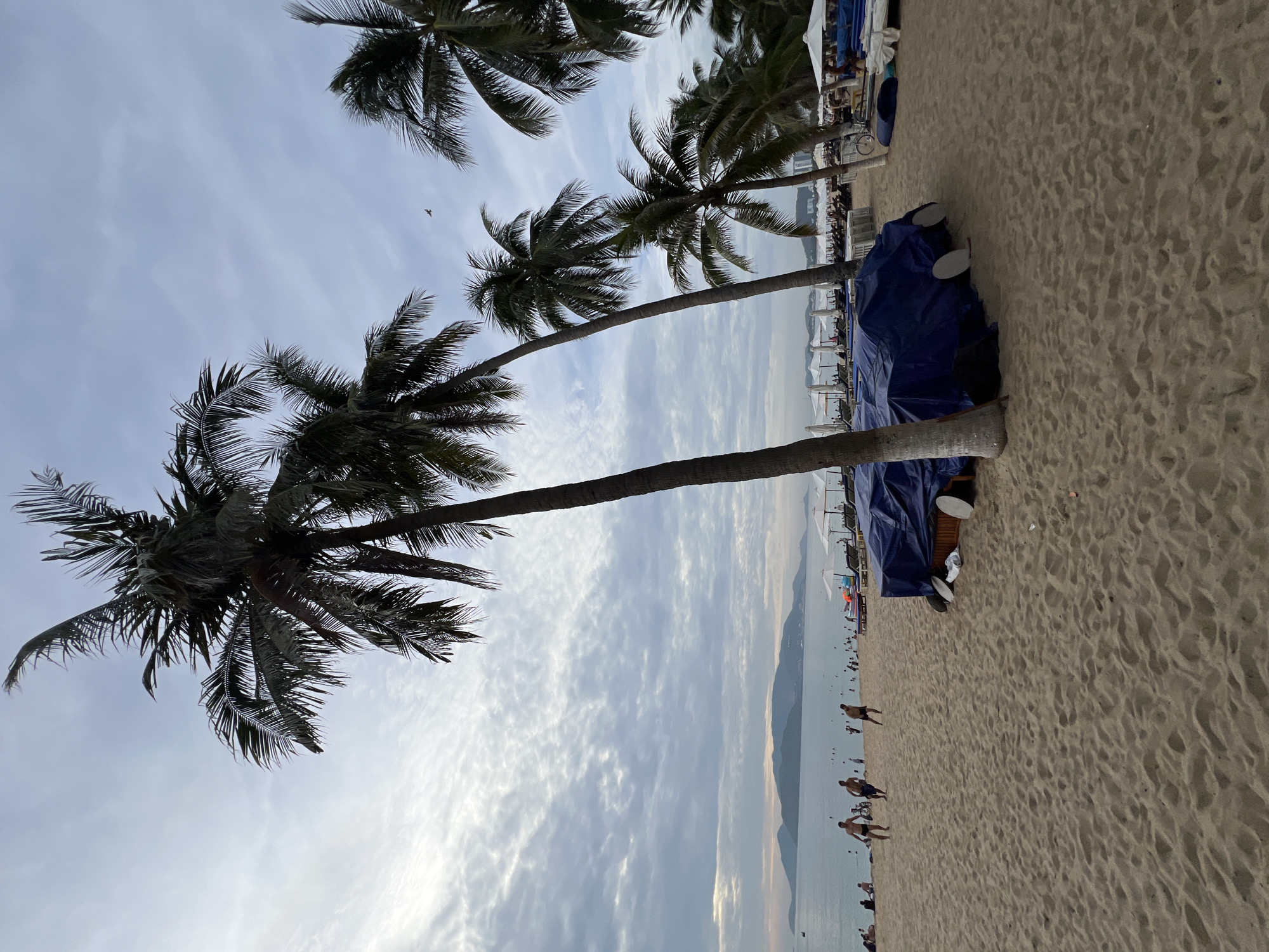 The image depicts a sandy beach in Nha Trang, Vietnam, under a cloudy sky. Several tall palm trees are prominent in the foreground, with their fronds reaching towards the sky. In the midground, the beach is populated with people, some of whom are walking or playing on the sand, while others are in the water. Beach umbrellas and lounge chairs are visible further back, suggesting a resort area. A dark blue tarp covers some objects near the palm trees. The ocean stretches to the horizon, with hills or mountains visible in the distance. A few boats are spotted on the water. The overall scene suggests a typical day at a tropical beach.