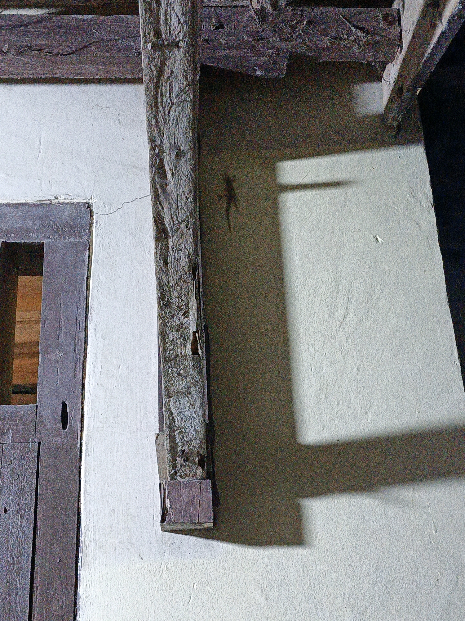 The image shows a close-up view of the interior of a building, likely a traditional house, with a focus on architectural elements and a small lizard. In the foreground, a weathered wooden beam, possibly a structural support, runs vertically from the top of the frame downwards. This beam displays signs of age and texture, with cracks and rough surfaces. To the left of the beam, a portion of a wooden door frame is visible, with a dark, aged wood texture. The door itself is mostly out of frame, but a small rectangular opening or window can be seen. The wall behind the beam and door frame is painted a light, possibly off-white color, with visible texture and some faint cracks.
On the wall, slightly to the right of the central beam and roughly in the middle of the frame, a small, light-colored lizard is perched. Its body is elongated, and it is oriented facing towards the right side of the image. The lighting in the scene creates a prominent shadow cast by the wooden beam onto the wall. This shadow is dark and sharp, outlining the shape of the beam and extending across a significant portion of the wall. The upper part of the image shows more dark wooden beams, suggesting the roof structure.
This scene is located in the city of Bunut, Indonesia, where such traditional wooden architecture and the presence of small reptiles on interior walls are common in many older homes.