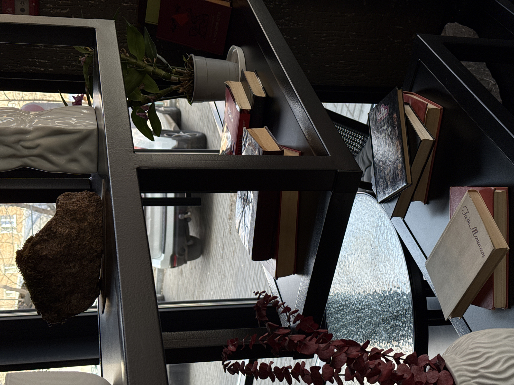 The image shows the interior of a building, possibly a cafe or shop, in Krasnoyarsk, Russia. A metal shelving unit is in the foreground, holding a variety of decorative objects including books, ceramic vases, a small plant in a white pot, and a textured brown object resembling a rock or decorative piece. The books appear to be a mix of sizes and colors, with some having visible titles. The shelves are partially visible through a window showing a street scene with parked cars and buildings. A decorative red plant stem is visible at the bottom of the frame.