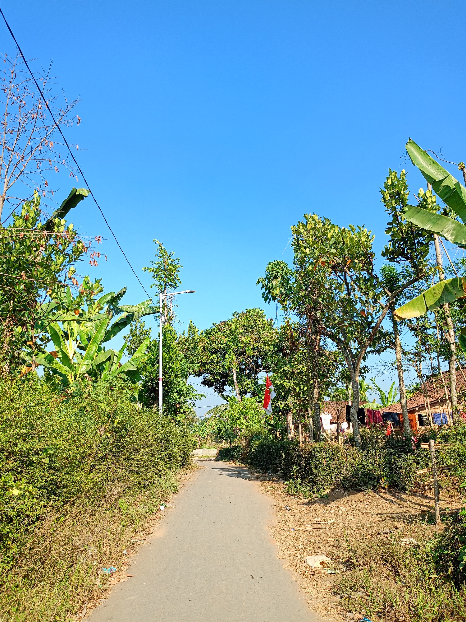 The image depicts a paved road in Jelbuk, Indonesia, bordered by lush green vegetation and trees. The road appears to be a rural path, with no vehicles or people visible. On the right side of the road, houses with traditional Indonesian architecture, characterized by wooden walls and tiled roofs, are nestled amongst the trees. Laundry is seen hanging out to dry in front of one of the houses, suggesting a residential area. The sky is clear and bright blue, indicating a sunny day. A red and white flag, likely the Indonesian flag, is visible on a pole near one of the houses. Electrical wires are strung overhead, supported by poles. The overall scene conveys a peaceful and everyday rural Indonesian setting.