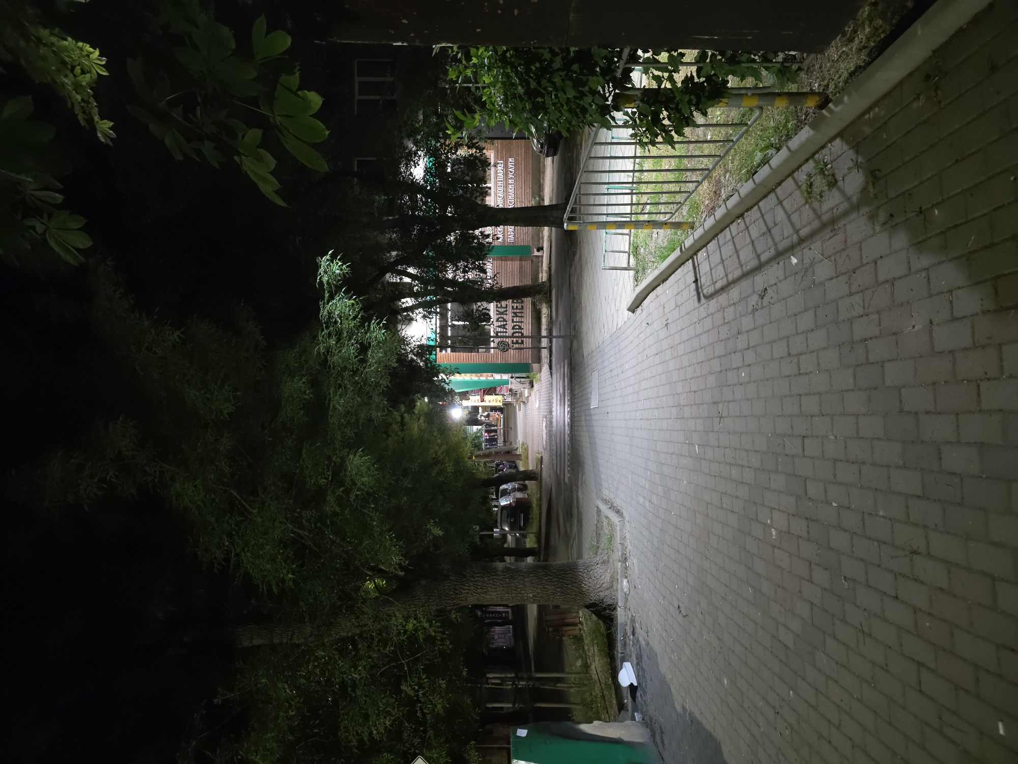The image depicts a street scene at night in Varna, Bulgaria. A paved walkway, likely a sidewalk, is prominent in the foreground, constructed of rectangular grey pavers laid in a staggered pattern. To the left of the walkway, there is a grassy area with a large tree trunk and foliage, and further left, a portion of a green bin with some graffiti. Across the walkway, a metal railing with yellow markings borders a grassy area. In the background, a building with vertical wooden panels is visible, featuring text in what appears to be Cyrillic script. The text includes "ПАРКЕТ" (PARQUET) and "ЕДРІЕВ" (EDRIEV). There are several trees lining the street, casting shadows on the walkway. Parked cars are visible further down the street, and streetlights illuminate the scene, creating pools of light and shadows. The overall atmosphere is quiet and dimly lit, characteristic of a residential or commercial street at night.