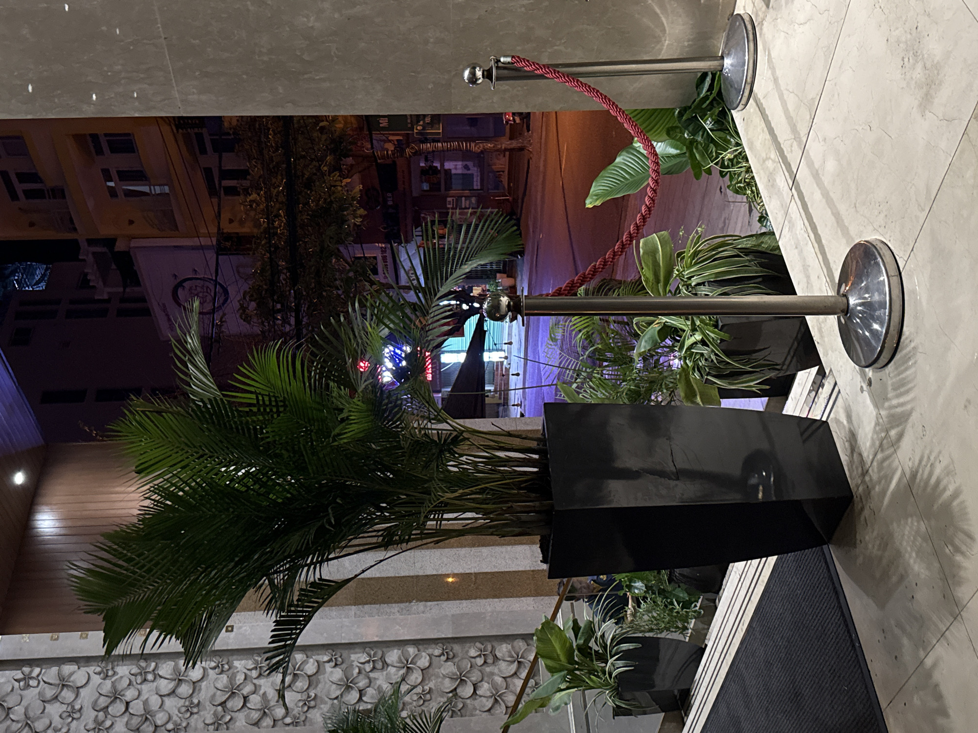 The scene depicts an exterior view in the Nha Trang ward of Vietnam. The photo is taken at an angle, showcasing a foreground of interior decor leading to a view of the street outside. Dominating the lower portion is a large potted plant featuring palm-like foliage in a black rectangular planter, set against a textured wall decorated with floral patterns. Above and behind the planter, a metal stanchion with a red rope runs along the edge of a walkway. In the background, a street is visible with buildings lit up at night. The street shows signs of vehicular and pedestrian activity. The buildings display a mixture of signage and architectural styles. Overhead power lines are also visible against the night sky.