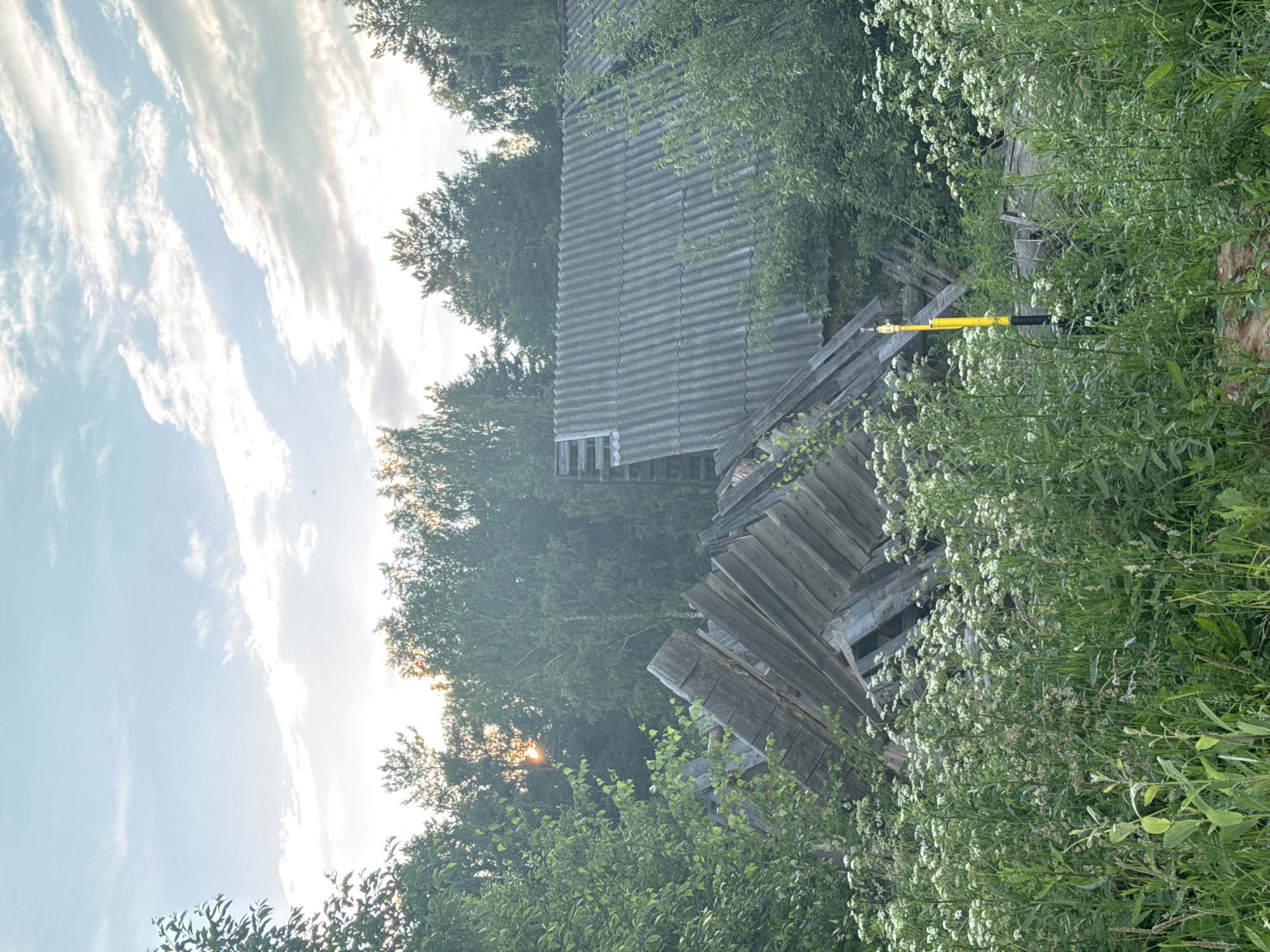 The image shows the dilapidated remains of a wooden structure, possibly a house or shed, in a natural, overgrown setting. The roof is partially collapsed, with corrugated sheets exposed in some areas and wooden beams exposed in others. The structure appears to be surrounded by dense green foliage, including trees and tall grass with white flowers. In the foreground, a bright yellow and black post or marker stands amongst the vegetation. The sky above is partly cloudy with the sun visible through a gap in the clouds, casting a soft light on the scene. The overall impression is one of abandonment and decay in a rural or semi-rural environment, consistent with the outskirts of a settlement like Вассята, Russia. There are no people visible in the image.