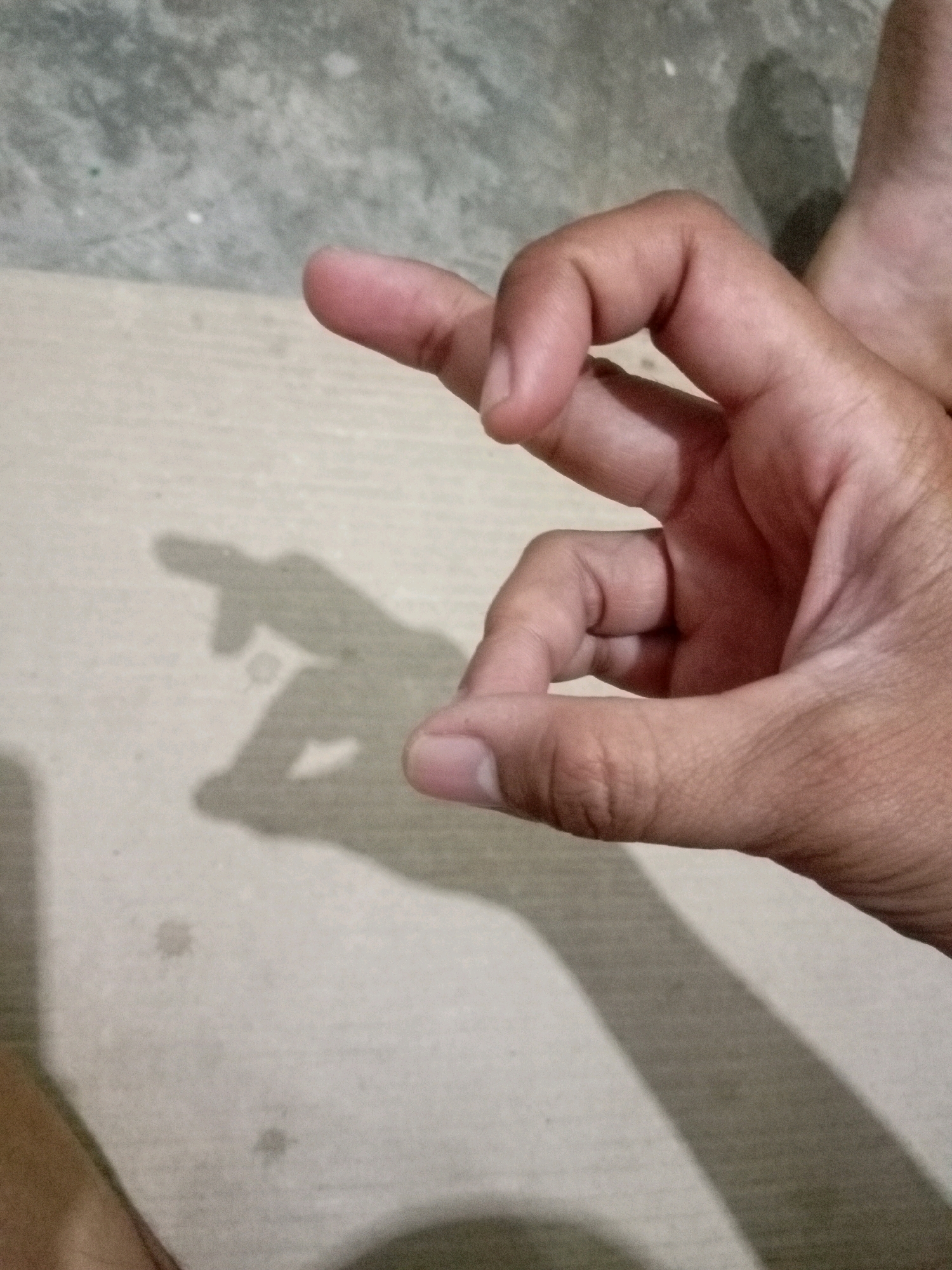 The image shows a close-up of a person's left hand, with fingers forming a shape, possibly creating a shadow puppet. The hand is positioned on a light-colored, textured surface that appears to be a floor. The background is a grey, rough surface. A shadow of the hand is cast on the floor, resembling a bird or a similar creature. The image is taken from a high angle, looking down at the hand and the surface. There is no discernible location in the city of Batam, Indonesia.