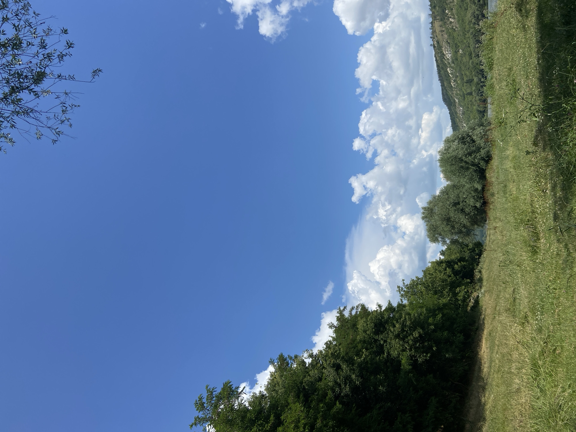 A wide-angle, eye-level shot captures a serene natural landscape under a clear blue sky with scattered fluffy white clouds. The foreground is a grassy field, with the grass appearing somewhat dry and yellowed in patches, suggesting a warm climate or season. To the left, a dense line of lush green trees forms a natural border, their foliage dark and full. Beyond the field and trees, a body of water, likely a river, is visible, reflecting the sky. Across the water, a rolling hillside covered in greenery slopes upwards, dotted with more trees and vegetation. The overall impression is one of a peaceful, undeveloped natural area, possibly a park or rural setting, with no signs of human presence or urban development. The lighting suggests it is daytime, with the sun casting shadows across the grassy field.
