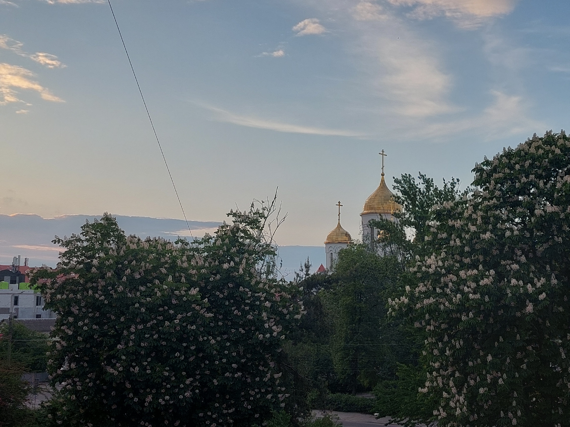 The image captures a view in Ternopil, Ukraine. In the middle ground, two golden domes with crosses stand out against the skyline, indicating an Orthodox church. The view is partially obscured by trees in full bloom, with white flowers covering their foliage. In the background, buildings can be seen, including a modern structure with green accents. The sky above is pale blue with scattered white clouds. A thin power line stretches diagonally across the upper-left portion of the frame.