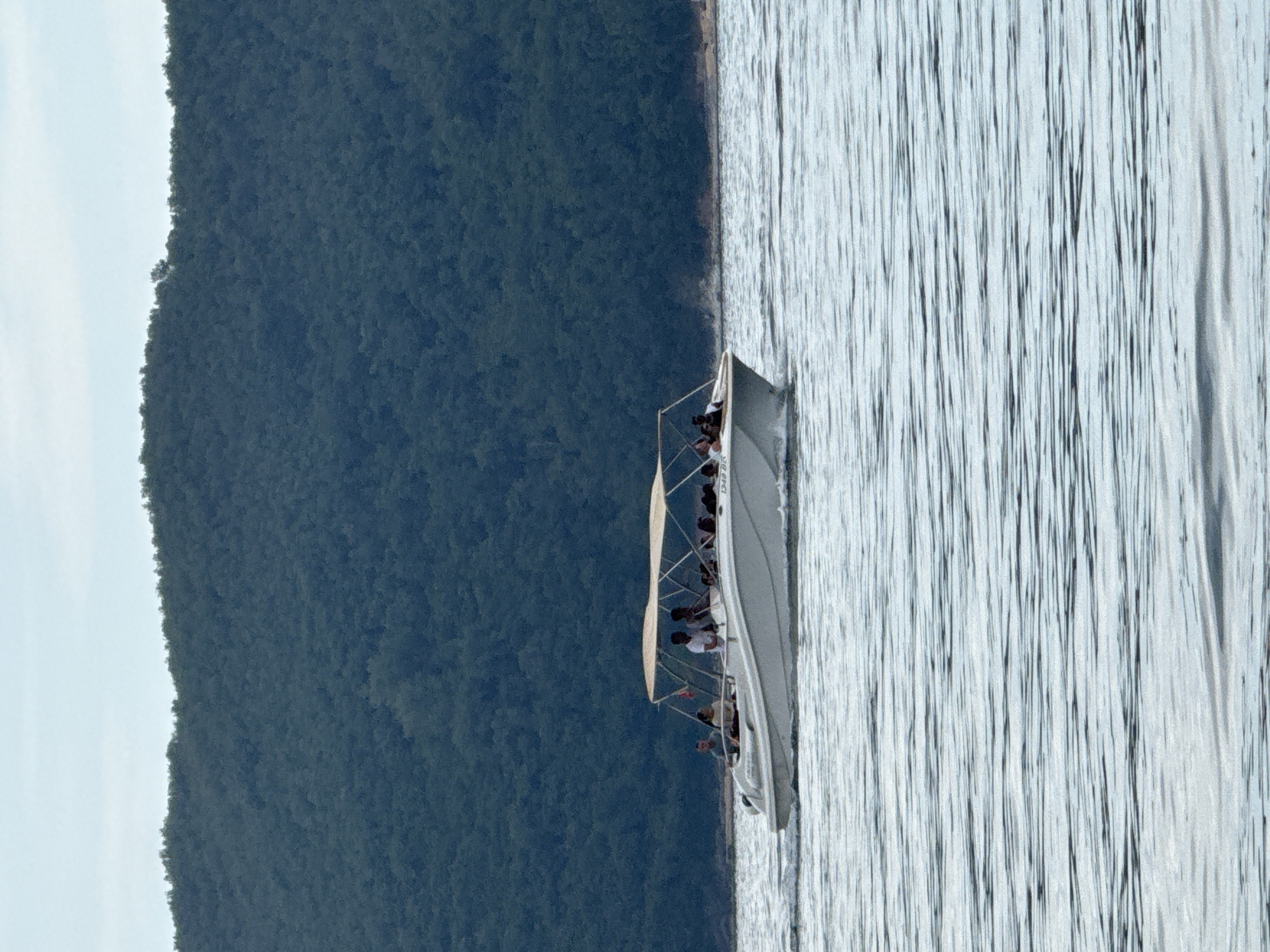 A medium-wide shot captures a boat carrying several passengers navigating a body of water, likely near Budva, Montenegro. The boat is a light color with a canopy structure, and the passengers appear to be seated. The body of water exhibits vertical streaks suggesting movement or ripples. A dark green, heavily forested hillside is visible on the left side of the frame, contrasting with the water and sky. The sky is pale and slightly overcast.