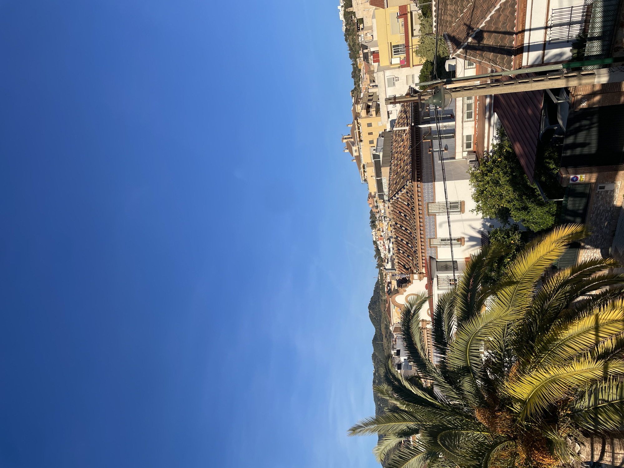 The image captures a bright, sunny day in Málaga, Spain. The foreground features the top of a large palm tree with dense, vibrant green fronds. Behind the palm tree, the cityscape of Málaga unfolds, marked by buildings with terracotta-tiled roofs and white facades. The buildings are varied in height and design, creating a layered effect as they stretch into the distance. The clear, blue sky dominates the upper portion of the frame. The location appears to be elevated, offering a panoramic view of the city and its architectural landscape. There are no people in the immediate view.