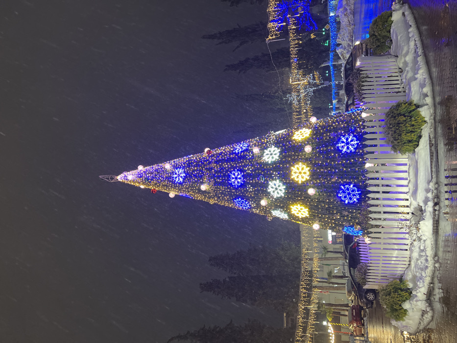 This image captures a large, illuminated Christmas tree at night, located in the city of Terjola, Georgia, during a snowfall. The prominent conical tree is adorned with numerous small golden lights, larger blue, white, and yellow snowflake-shaped lights, and spherical ornaments, including some red. A white, low-rise picket fence encircles the tree's base, which is surrounded by patches of snow and dark green shrubs.
The ground around the tree is wet and reflective from precipitation, with accumulated snow on various surfaces. In the background, multiple strings of warm white and yellow festive lights are suspended across the scene, creating an overhead canopy effect. Further back, dark evergreen trees are visible, some decorated with blue lights. Parked vehicles, including dark-colored cars, are discernible on the wet pavement to the left and right of the Christmas tree. Buildings with illuminated features are partially visible behind the vehicles on the left. No individuals are clearly identifiable in the scene. Snowflakes are visibly falling throughout the frame, illuminated by the ambient lights.