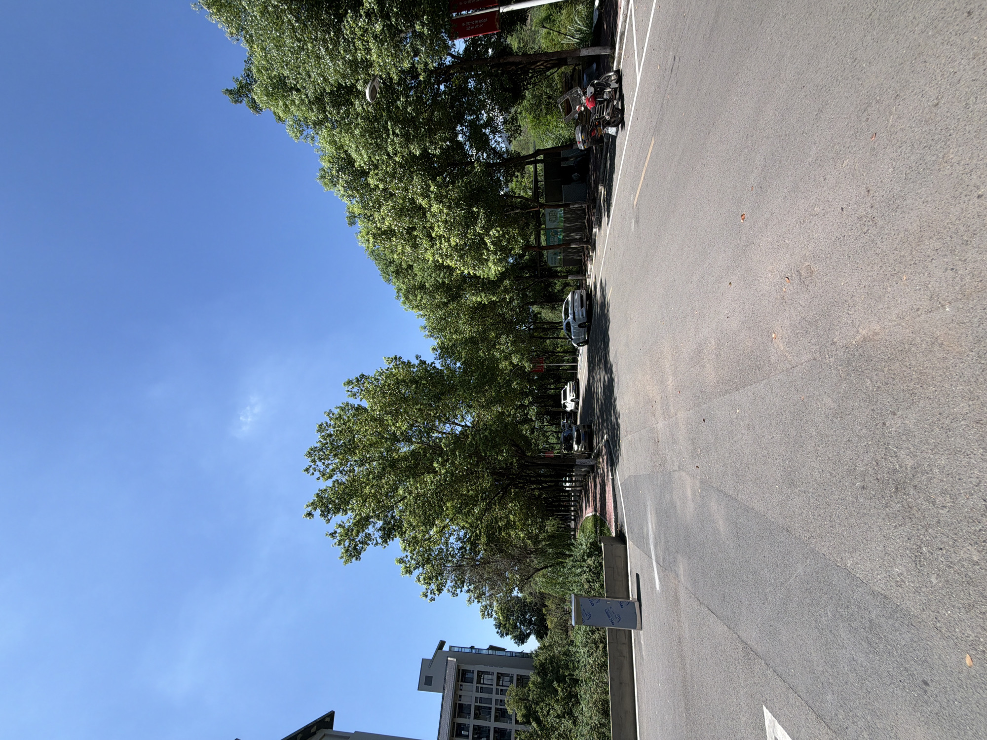 The image depicts a street scene in Jiangjin, China, on a clear, sunny day under a vibrant blue sky with a few wispy clouds. The foreground is dominated by an asphalt road with visible lane markings, including a white arrow pointing left and a yellow line. To the left of the road, a sidewalk with red brick paving runs alongside a low concrete barrier and a large, grey metal information kiosk. Lush green trees line the right side of the street, their dense foliage casting shadows. A modern, multi-story building with a grey facade and numerous windows is visible on the far left, partially obscured by trees. Several cars are parked or driving on the road, including a white sedan, a dark-colored SUV, and another white sedan further down. On the right side of the street, a black and silver motorcycle is parked. In the background, more trees and greenery suggest a park-like setting or a densely vegetated area. Two red banners with Chinese characters are attached to a pole on the right side of the street. The overall impression is one of a well-maintained urban or suburban environment on a bright summer day.