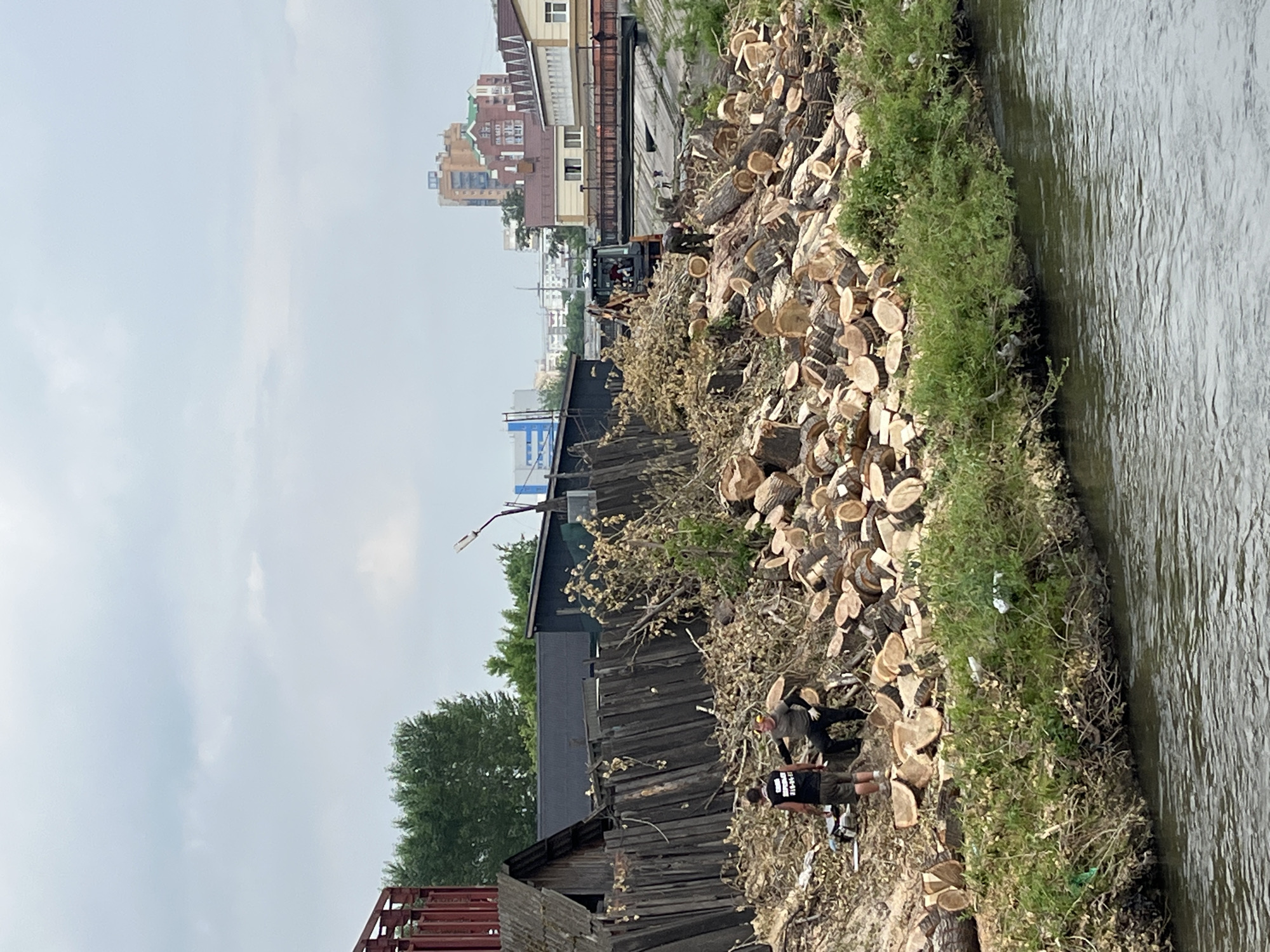 The image depicts a scene of logging and debris removal along the bank of a river, likely in the city of Krasnoyarsk, Russia. In the foreground, a body of water flows gently. The riverbank is overgrown with green vegetation. Behind the vegetation, a large pile of freshly cut logs and tree branches is visible. The logs are of varying sizes, and many are cut into circular sections, indicating recent deforestation.
In the middle ground, two individuals are present. One, wearing a black t-shirt with white lettering and brown shorts, stands near a pile of logs, looking towards the other person. The second individual, wearing a dark green long-sleeved shirt and dark pants, is kneeling amongst the debris, appearing to be examining or working with the logs. To the right of these individuals, a yellow excavator is positioned, its arm extended towards the pile of logs, suggesting it is being used for moving or clearing the debris.
In the background, a dilapidated wooden fence runs along the edge of the property. Behind the fence, several buildings are visible, including a low-lying, dark-roofed structure and further in the distance, taller, multi-story buildings, some with brick facades and windows, indicative of an urban environment. A bridge spans the river in the far background. The sky is overcast with clouds. The overall impression is one of active work in an area where trees have been felled, with the river serving as a backdrop and potential route for transport or disposal.