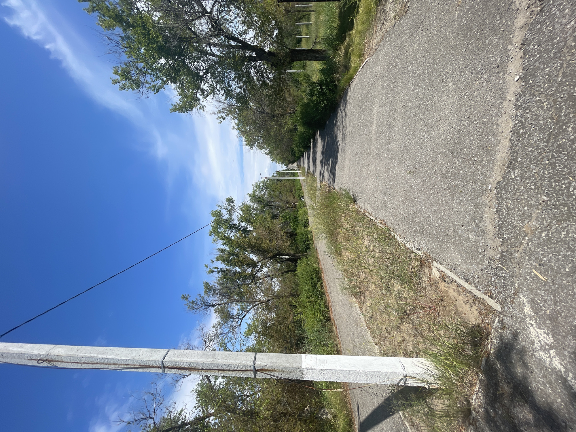 A paved pathway, possibly a road or a walking trail, recedes into the distance under a bright blue sky with scattered white clouds. The pathway is bordered on both sides by sparse vegetation, including grass and trees, some of which appear dry and bare. A concrete utility pole, painted with white markings near its base, stands prominently on the left side of the foreground, with a wire extending diagonally across the frame towards the sky. In the background, several more utility poles are visible along the pathway. The overall scene suggests an outdoor environment, likely in a semi-rural or undeveloped area, possibly within or on the outskirts of Znamensk, Russia, given the mention of that location. There are no people visible in the image.