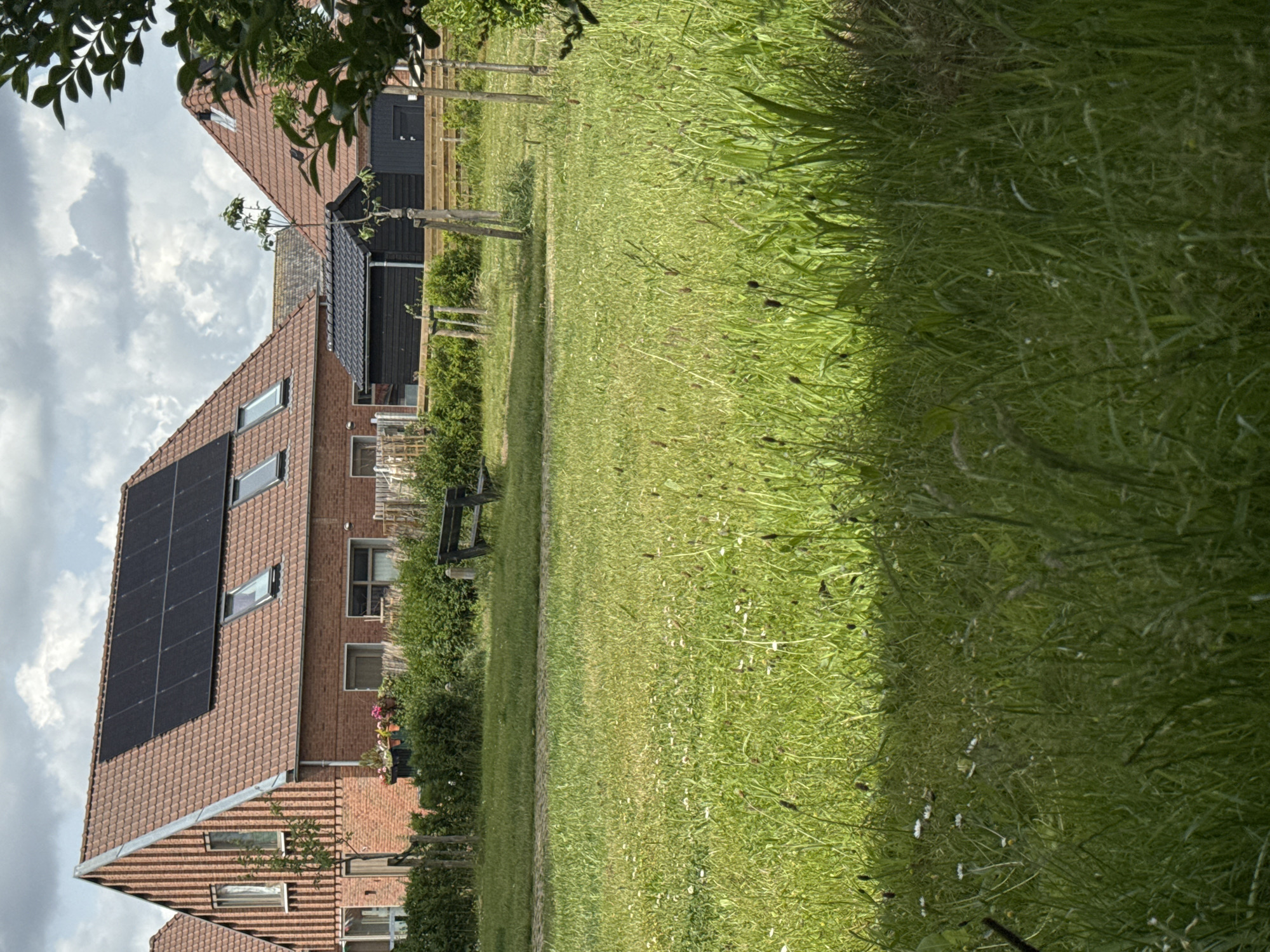 The image depicts a residential area with two brick houses featuring terracotta tiled roofs. Both houses are equipped with solar panels on their roofs. The house on the left has a vertical wooden accent on its gable end. In front of the houses, there is a well-maintained lawn with scattered white wildflowers and taller grasses. A wooden bench is visible on the lawn, and a wooden fence runs along the edge of the property. A small black shed is situated between the two houses. The sky is overcast with scattered clouds.