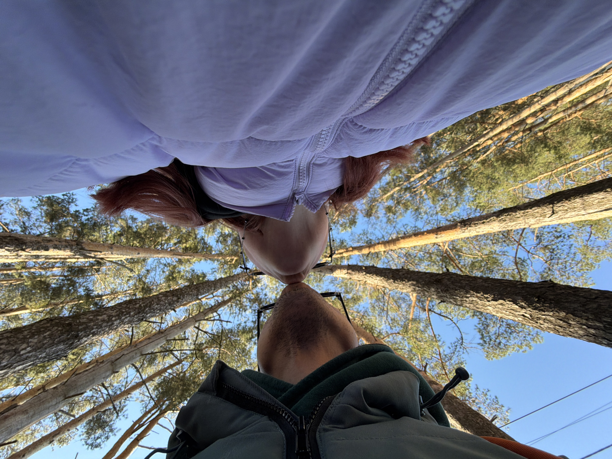 The image shows two individuals, a woman with red hair wearing glasses and a light purple jacket, and a man with a beard wearing glasses and a dark green jacket, standing close together in a forest. The camera angle is from below, looking up, creating a perspective where the tree trunks and branches appear to converge in the sky. The background consists of tall pine trees and a clear blue sky. The location is the city of Chaikovsky, Russia, due to its geographical position where pine tree forests are most common.