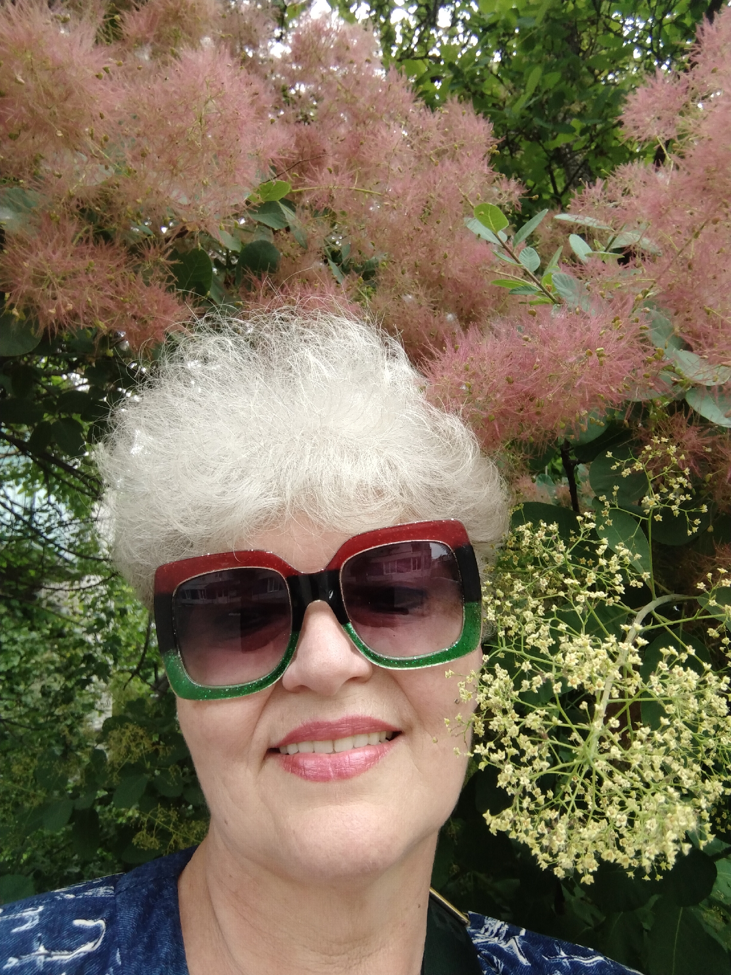 A close-up outdoor selfie captures a smiling woman with bright white, curly hair. She is wearing stylish, oversized sunglasses featuring a red, black, and green multi-toned frame. Her lips are painted a soft pink, and she is dressed in a dark blue top with a light-colored pattern.
The background is filled with lush greenery and two distinct flowering plants. To her left and above, a prominent bush with abundant, fluffy pink inflorescences, characteristic of a Smoke Tree (Cotinus coggygria), creates a soft, textured backdrop. On her right, a cluster of small, pale yellow or cream-colored flowers from another plant is visible, partially obscuring her cheek.
The natural lighting suggests it is daytime with pleasant weather. The woman's subtle smile conveys a sense of contentment or happiness. The setting appears to be a garden or park, rich in natural flora. This image was taken in Horishni Plavni, Ukraine. No text is visible in the media file.
