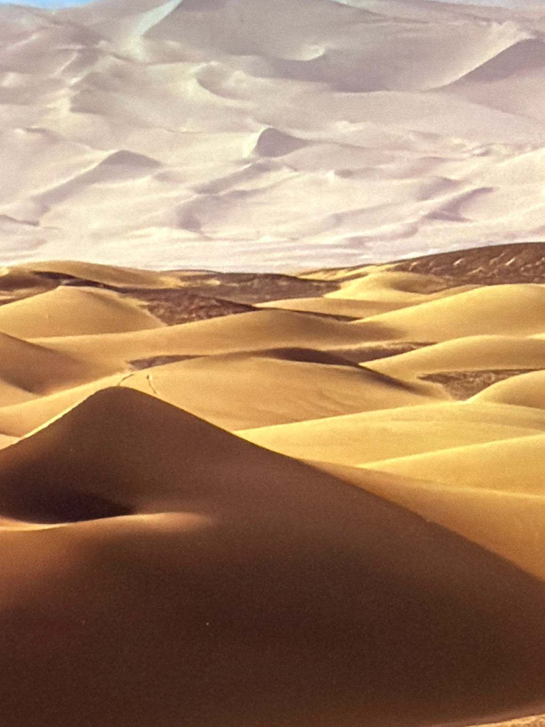 The image depicts a vast desert landscape with rolling sand dunes under a pale sky. The dunes are characterized by smooth, undulating curves, with sharp contrasts between sunlit surfaces and deep shadows, creating a sense of depth and volume. The sand ranges in color from a warm, golden yellow in the foreground to lighter, almost white tones in the distance. In the far background, the sky is a soft gradient of light gray and pale blue, with subtle cloud formations that mirror the soft contours of the dunes. There are no people, buildings, or signs of civilization visible in the image. The scene appears serene and untouched, emphasizing the natural beauty and scale of the desert environment. The image does not contain any elements that would suggest a location within the city of Kafr Yasif, Israel.