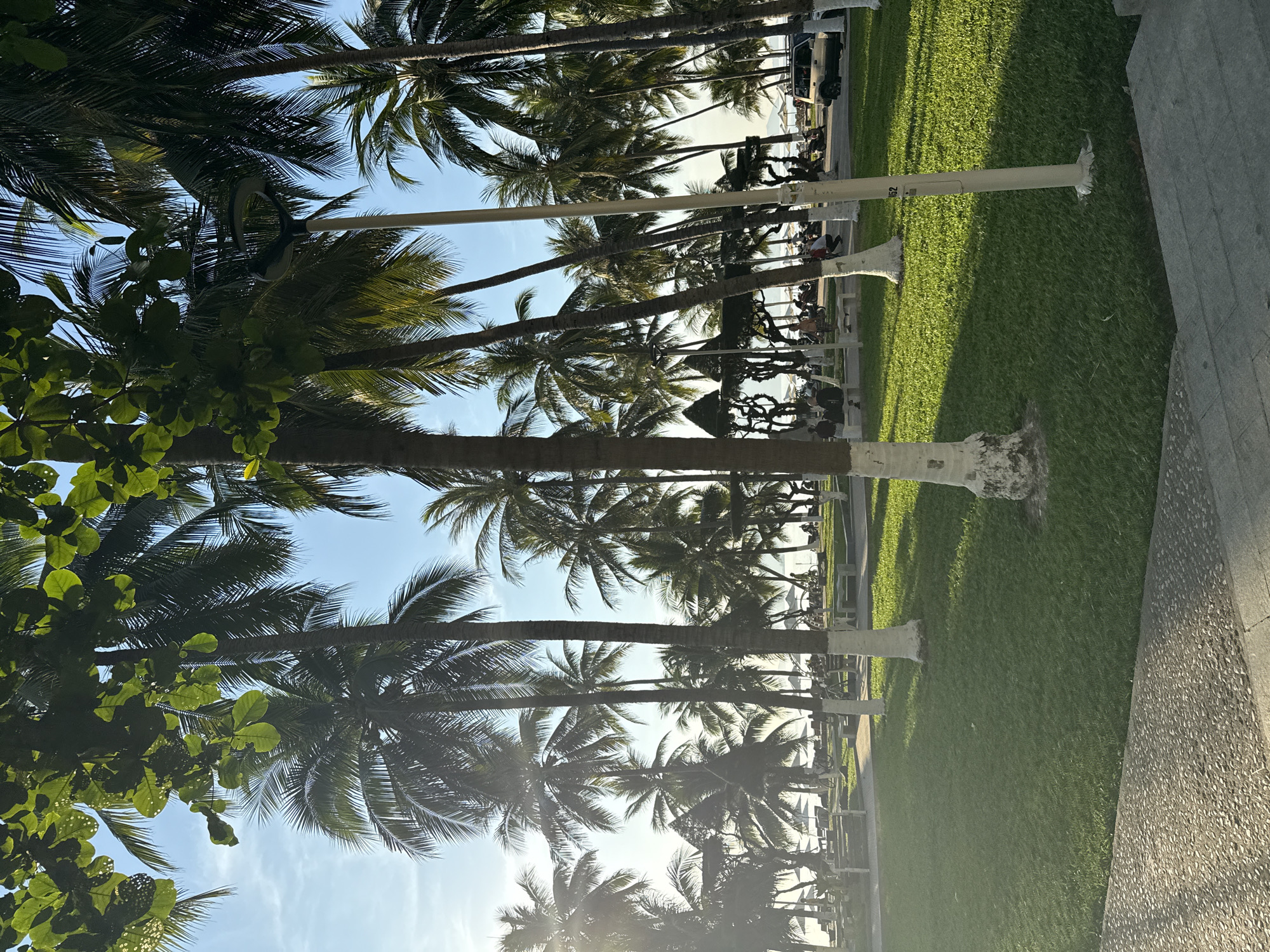 The image shows a sunny day scene along a coastal area in what is potentially Nha Trang Ward, Vietnam, though definitive location is not certain. The image appears to be taken from a slightly elevated or street-level viewpoint. Palm trees line the edge of a grassy area. There are street lights. People can be seen sitting in front of the palm trees on benches, presumably a recreational area. A car is visible parked on the side. A sidewalk is on the right. The overall environment suggests a park-like area in a tropical climate.