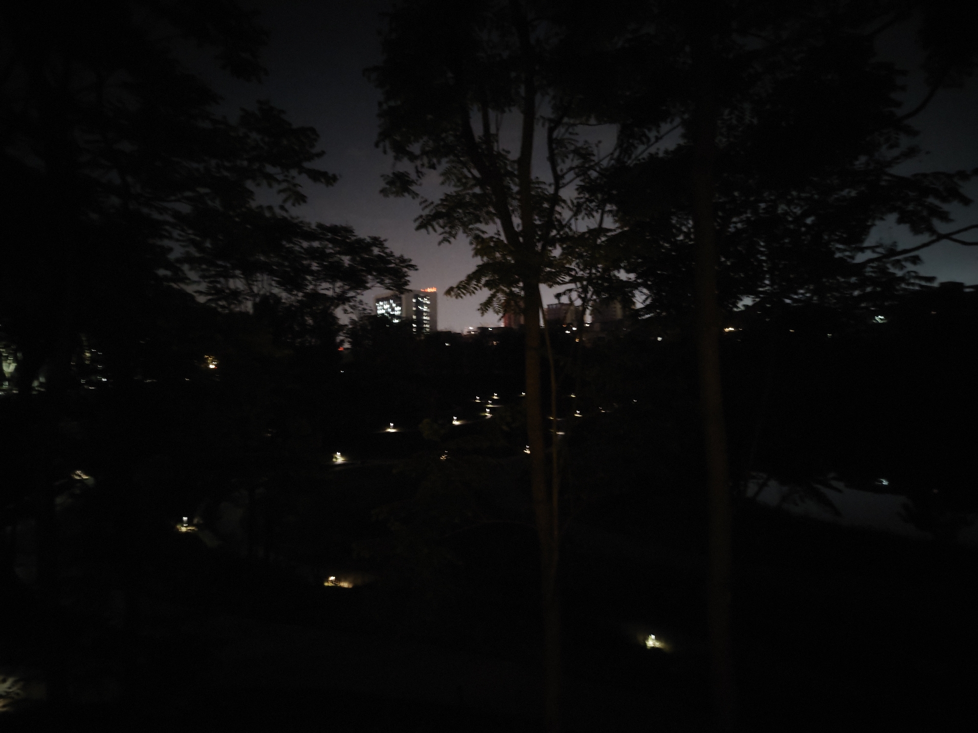 The image depicts a nighttime scene in Chongqing High-tech Zone, China. Silhouetted trees frame the view, with glimpses of illuminated buildings in the background suggesting an urban skyline. Several small lights are scattered throughout the scene, possibly marking pathways or landscaping features in a park or garden. The overall impression is one of a quiet, dark environment punctuated by artificial light sources.
