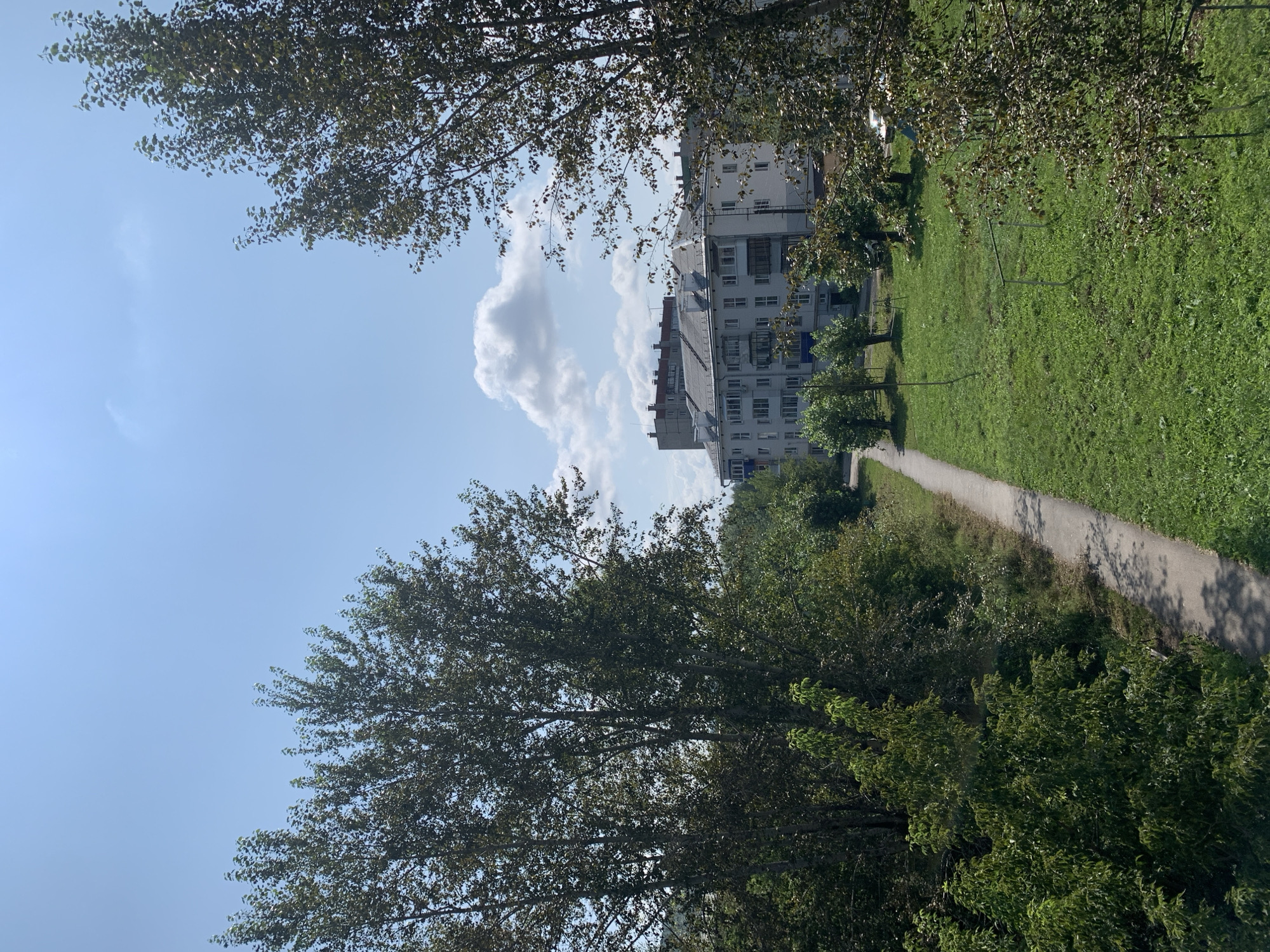 The image depicts a view of residential buildings and a park area in the city of Asha, Russia, under a clear blue sky with scattered white clouds. In the foreground, on the left and right sides, are large trees with dense green foliage. A paved pathway runs diagonally from the bottom left towards the center, bordered by a grassy area. In the middle ground, there are several smaller trees and a patch of green lawn, possibly a park or a communal yard, with a small goal frame visible. Further back, a multi-story apartment building with white and light grey facades stands prominently, featuring numerous windows and balconies. Behind this building, another taller structure with a darker facade is visible. The scene suggests a typical urban residential environment on a sunny day.