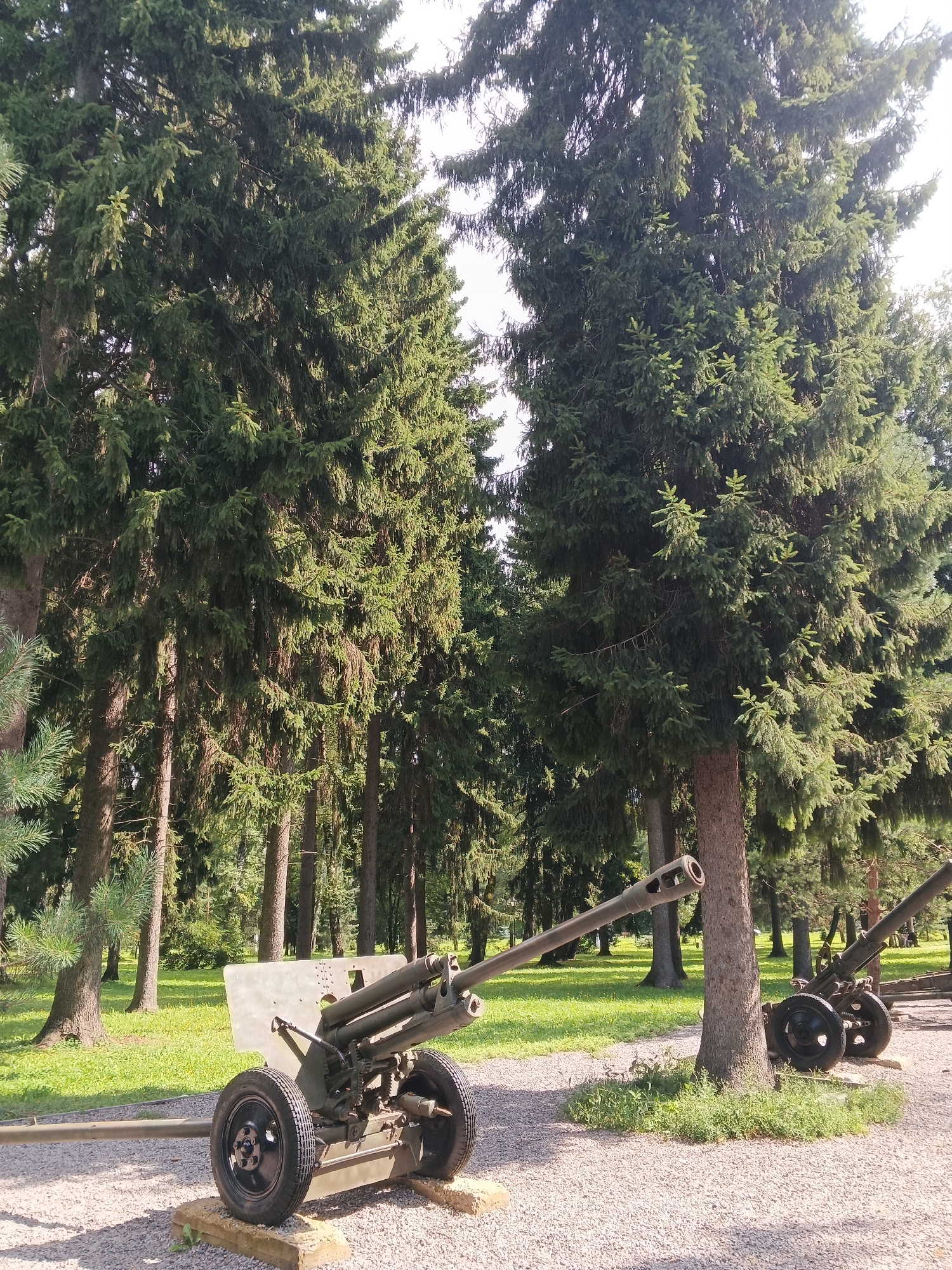 An exterior, eye-level, vertical shot depicts two parked artillery pieces in a wooded park area. The foreground features a light green, wheeled artillery piece on a gravel path, positioned slightly to the left of the frame's center. This piece is supported by what appears to be concrete blocks. Its barrel extends to the left, while the main body, including two wheels, is positioned in the right half of the foreground. A second, darker green artillery piece is visible in the background to the right, also on a gravel path. The background is dominated by a dense forest of tall evergreen trees with dark green foliage and rough brown bark. Sunlight filters through the trees, creating patches of light and shadow on the grassy ground in the mid-ground. The sky is mostly obscured by the tree canopy. There are no people visible in the scene.
