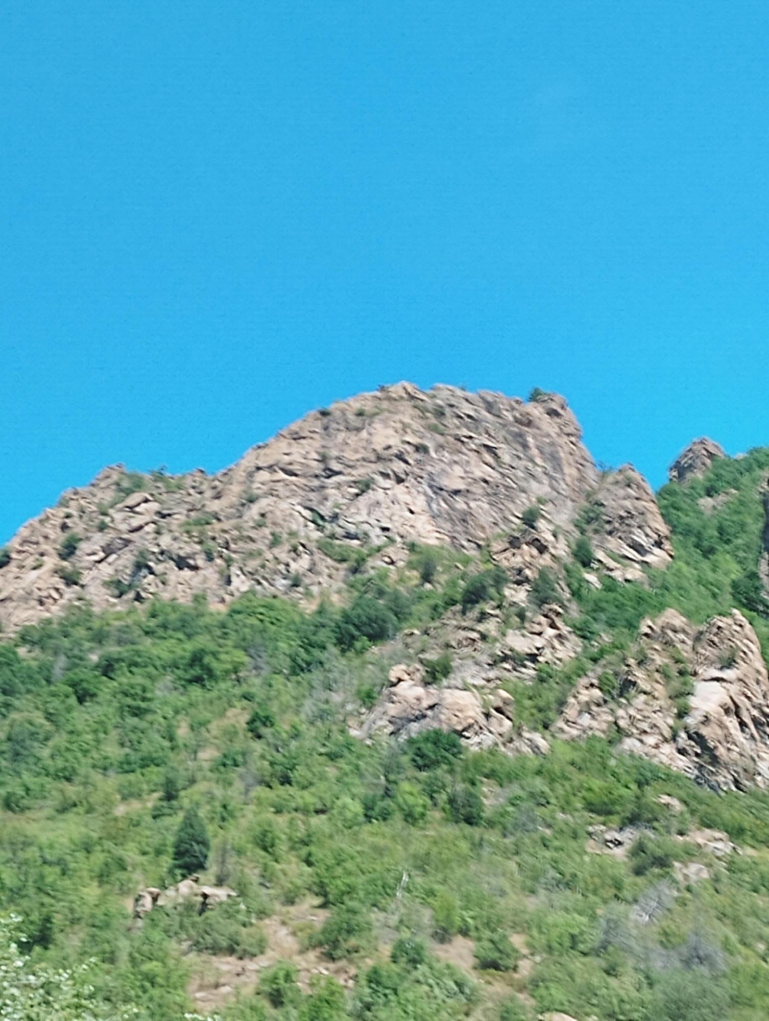 The image displays a rocky mountain slope covered with green vegetation. The sky above is a clear, bright blue. There are no people or animals visible in the scene. The terrain is steep and uneven, with prominent rock formations interspersed with trees and bushes. The overall impression is of a natural, undeveloped landscape. This scene is likely part of the Rila Mountains, which border the village of Krupnik, Bulgaria, known for its rugged natural beauty.