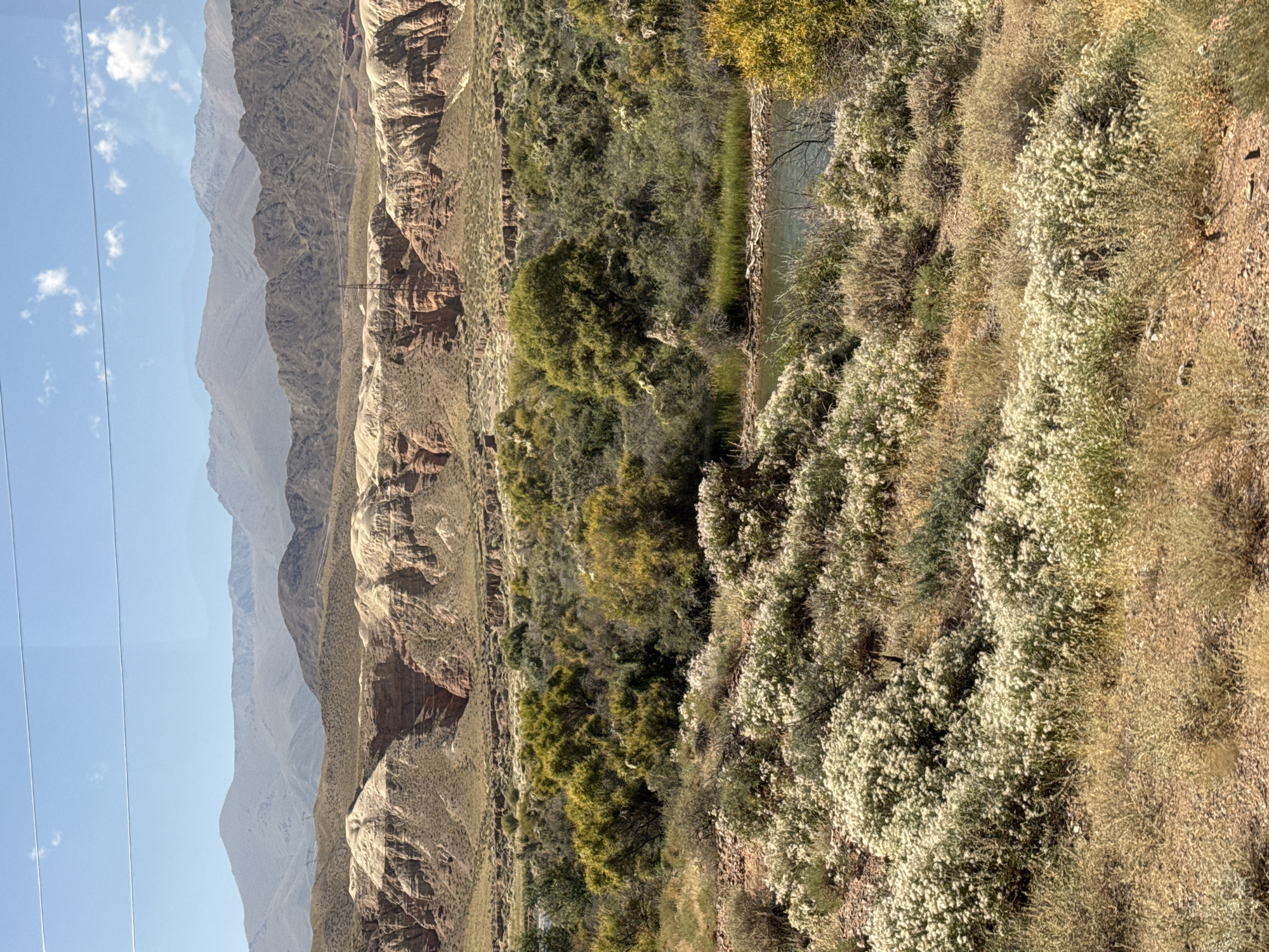 An eye-level, outdoor, full shot captures a vast, dry landscape under a clear blue sky. In the foreground, arid ground is covered with sparse, dry vegetation and patches of light brown dirt. A dense cluster of small, white flowering plants dominates the mid-ground, creating a soft, textured carpet across the terrain. Beyond this floral display, a body of water, appearing as a dark, calm ribbon, stretches horizontally. Flanking the water and receding into the distance is a diverse array of green shrubbery and trees, their foliage varying in shade and density. In the far background, a range of imposing mountains rises, their slopes layered with different hues of brown and tan. The upper peaks are softened by distance, appearing as a muted, hazy silhouette against the bright sky. Thin, parallel lines, possibly power lines, are visible stretching across the upper portion of the frame. The scene evokes a sense of untouched wilderness, a remote and rugged natural environment.