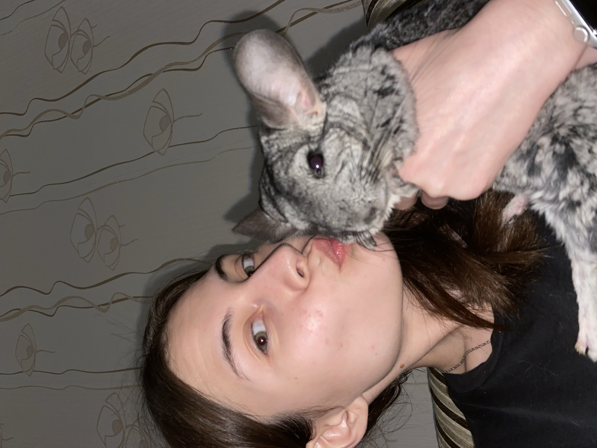 A woman is holding a chinchilla close to her face, appearing to be kissing it. The woman has light skin, brown hair, and is wearing a black shirt. The chinchilla is gray and white. The background consists of a wall with a floral pattern. The location and time of the image capture are unknown. The city of Votkinsk, Russia, is not discernible from the image.