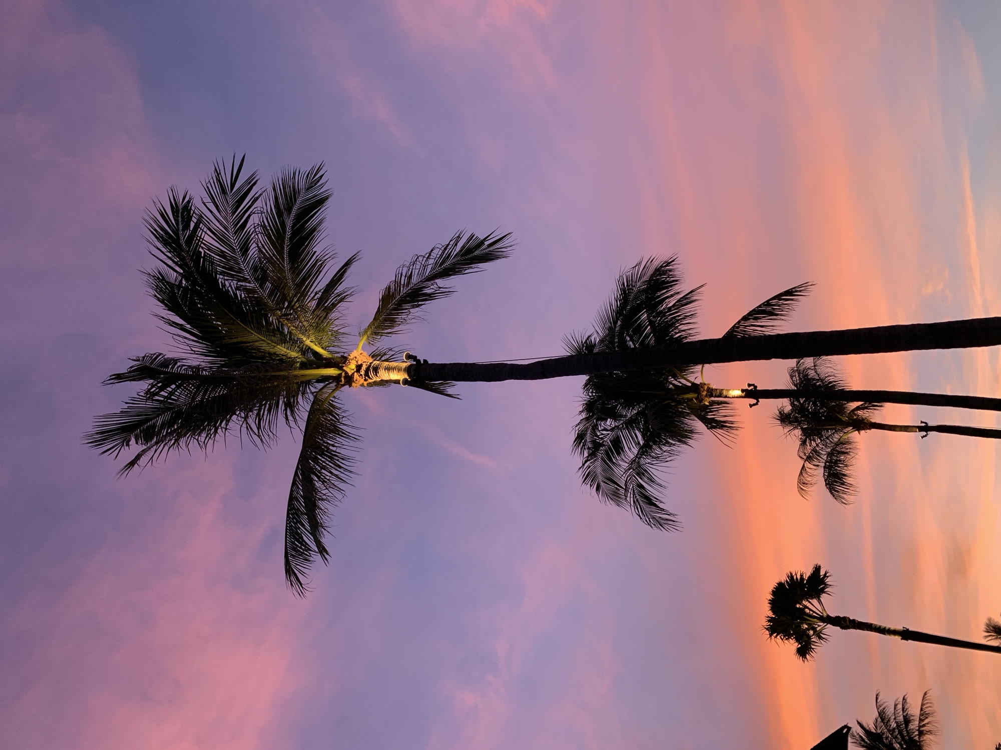 The image displays a vibrant sunset scene with multiple palm trees silhouetted against a sky transitioning from orange and pink hues near the horizon to purple and blue at the top. The palm trees are tall and slender, with fronds spread out. Some of the palm trees have lights illuminating their upper trunks, creating a warm glow. The location is identified as Ko Samui District, Thailand. There are no people or animals visible in the image. The environment appears to be tropical, with the presence of palm trees being characteristic of such a climate. The sky is filled with wispy clouds, adding texture and depth to the sunset colors.