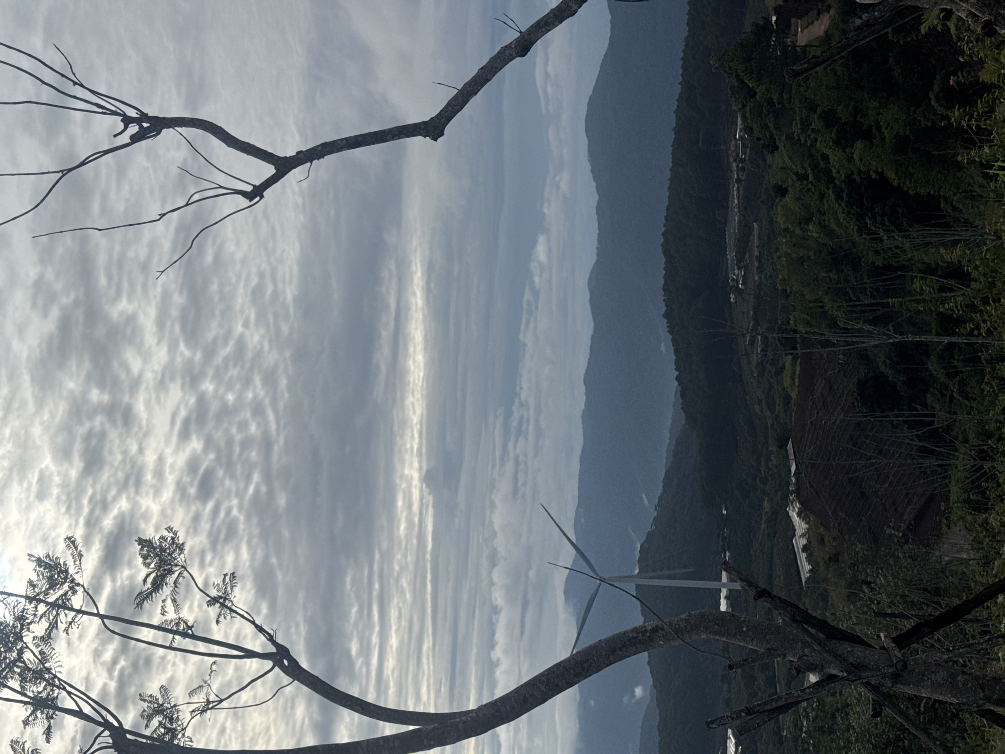 The image shows a landscape in Trường Thọ, Vietnam. The foreground features branches of trees, some with leaves. In the mid-ground are mountains and a cloudy sky. A wind turbine is also visible. The background contains lush green vegetation.