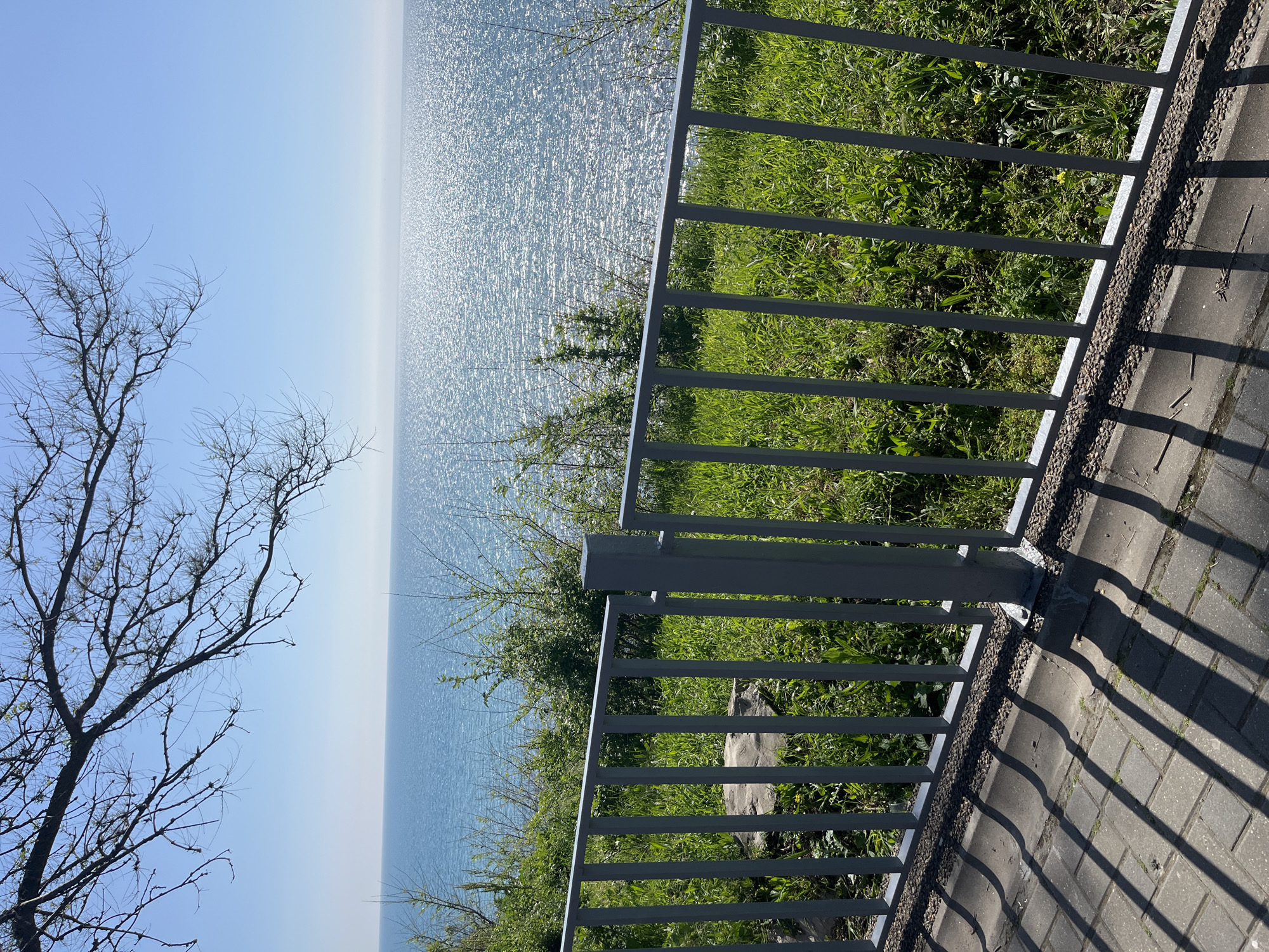 The image shows a view of the sea from a coastal area near Anapa, Russia. The sea is vast and stretches to the horizon under a clear sky. There is a bare tree on the left side of the frame. To the right, a metal railing runs along a paved walkway, separating the walkway from a grassy embankment. The shadows of the railing fall on the walkway.